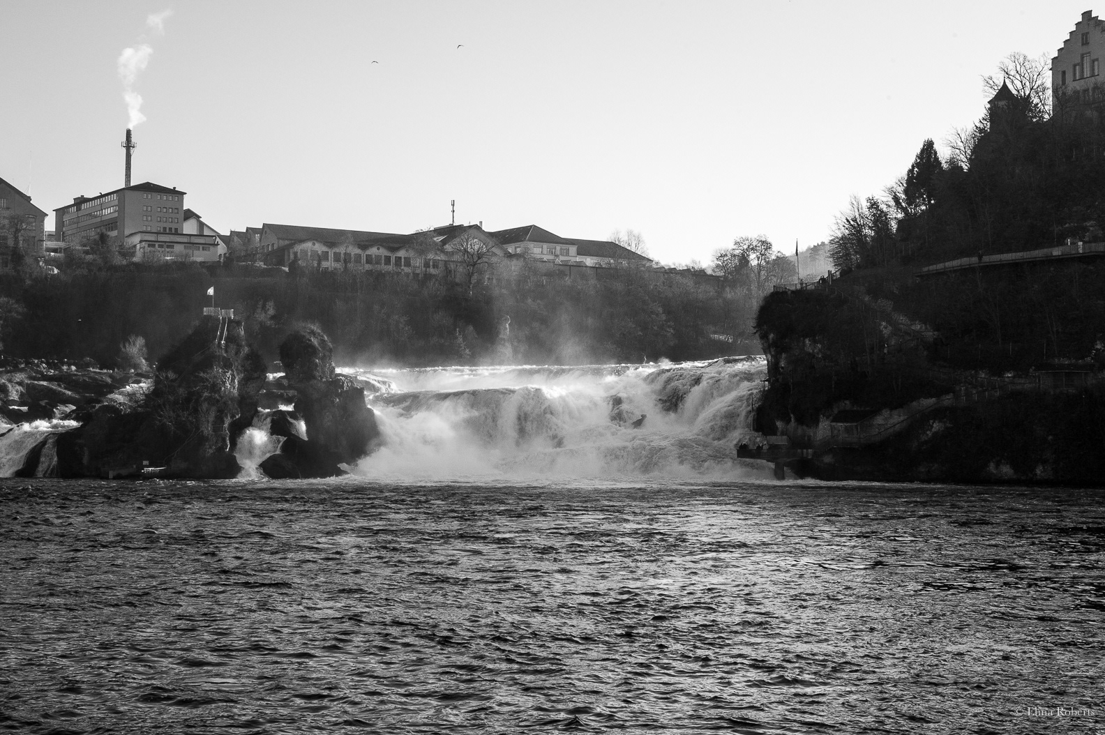 Rhine Falls Switzerland