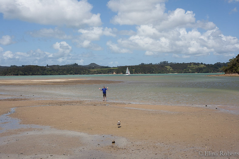 Bay of Islands