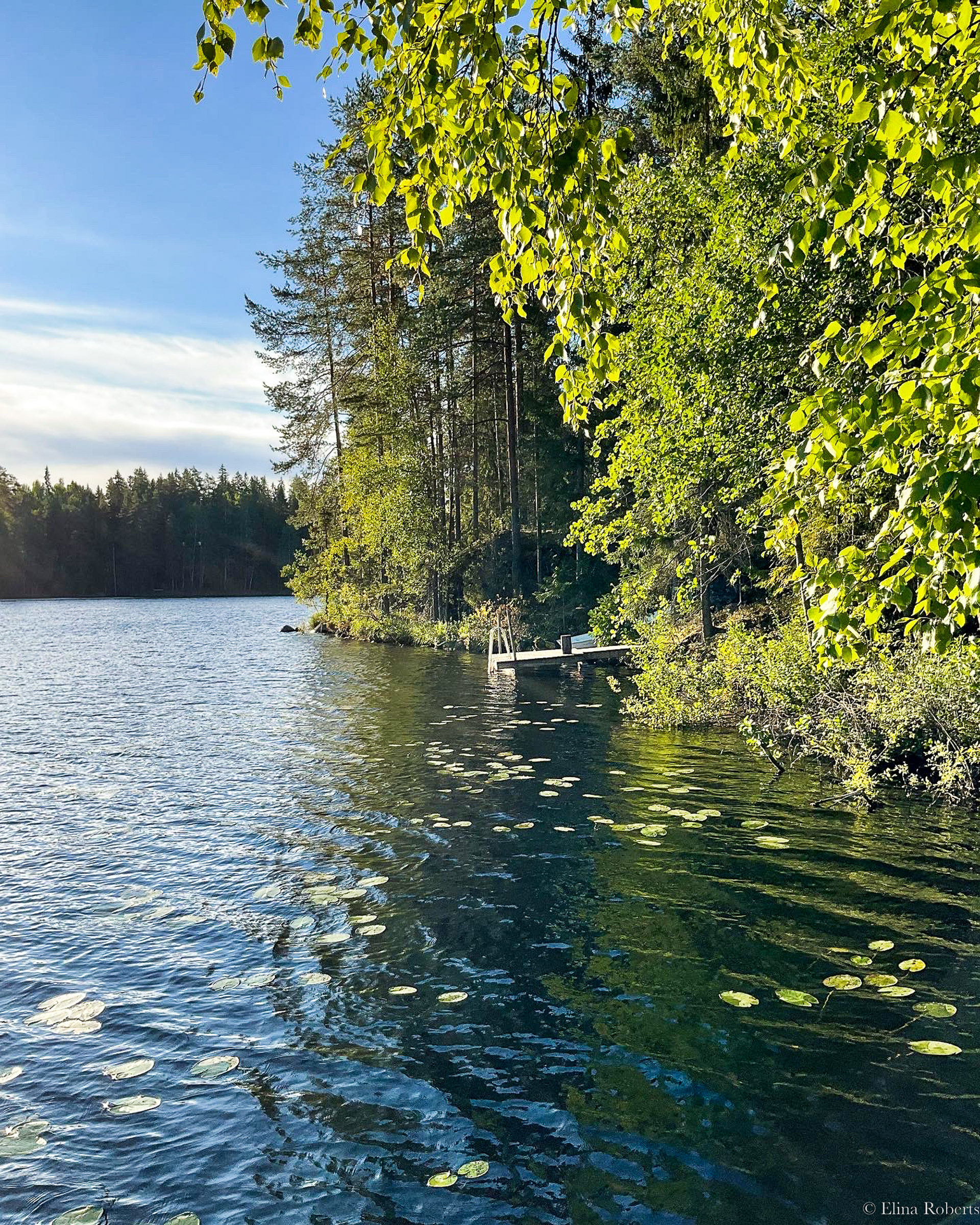 Haukkamäki, Nuuksio