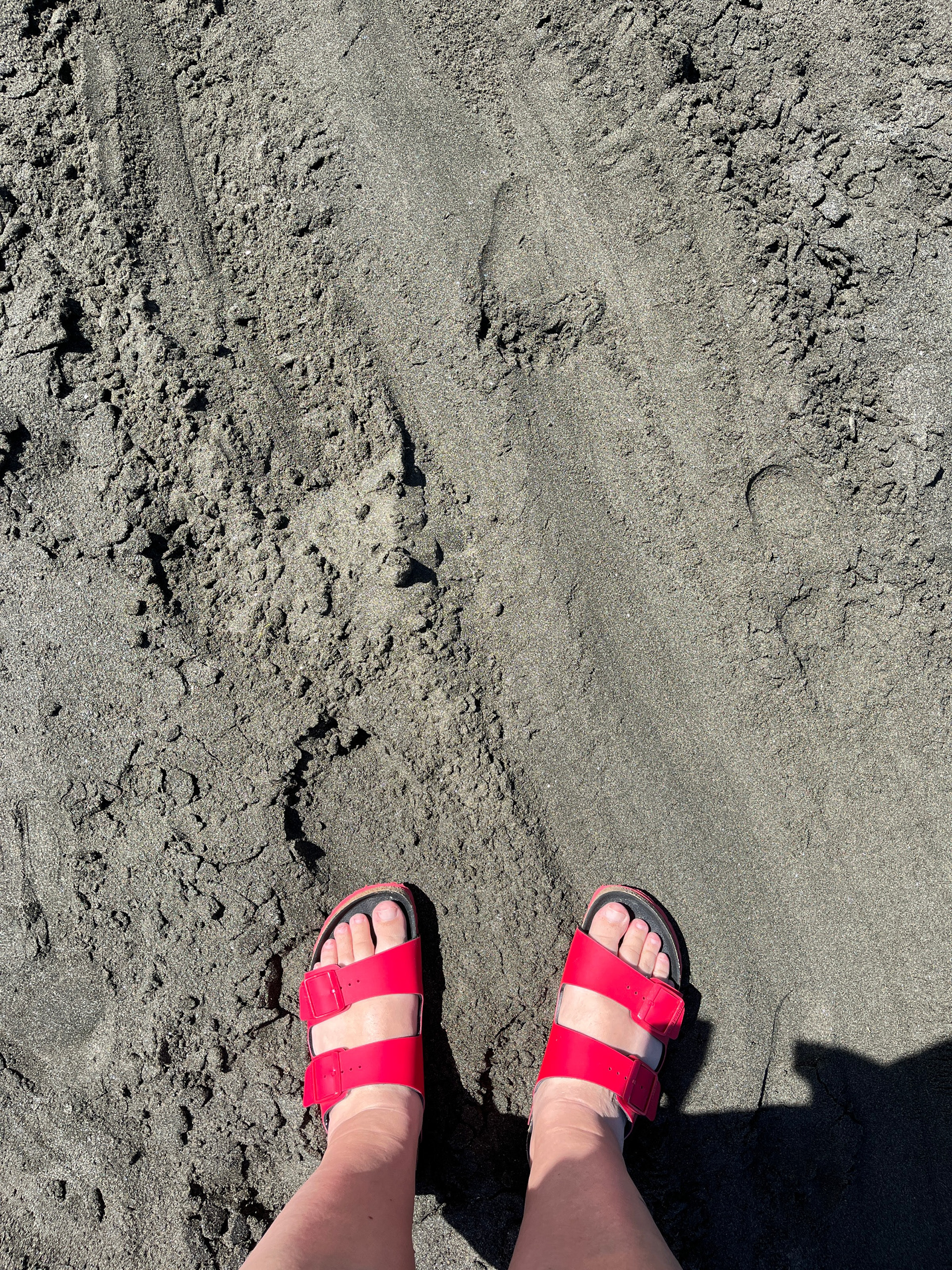 Black sand beach