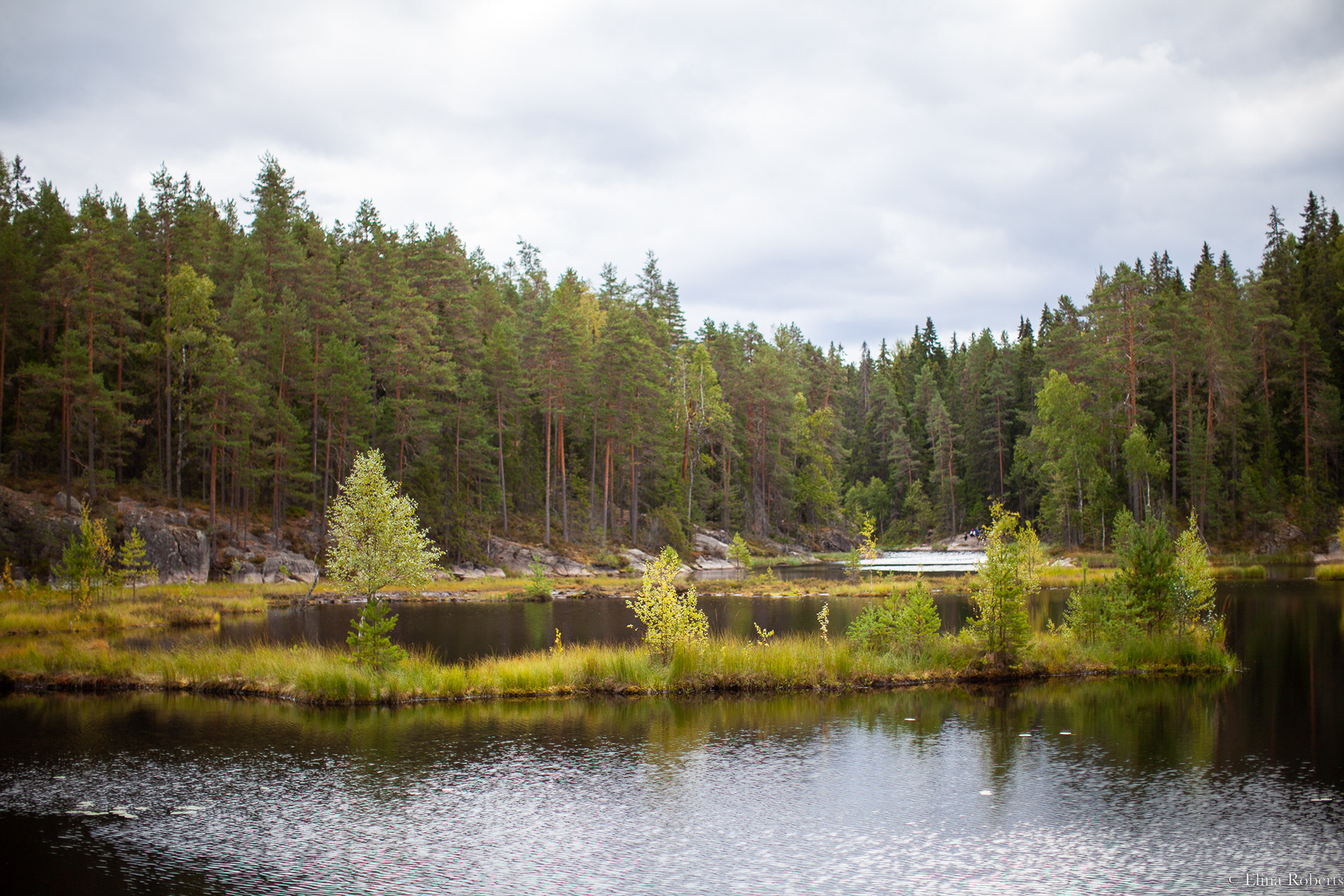Haukkalampi, Nuuksio