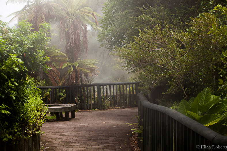 Rotorua