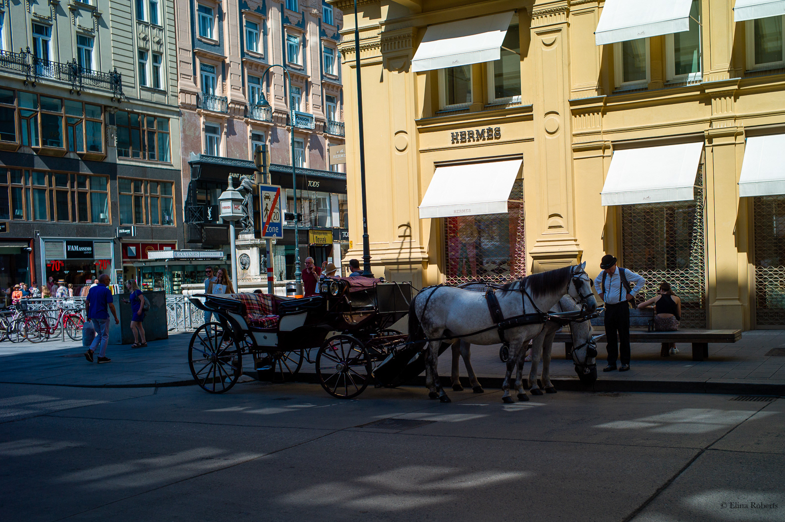 Vienna 2026