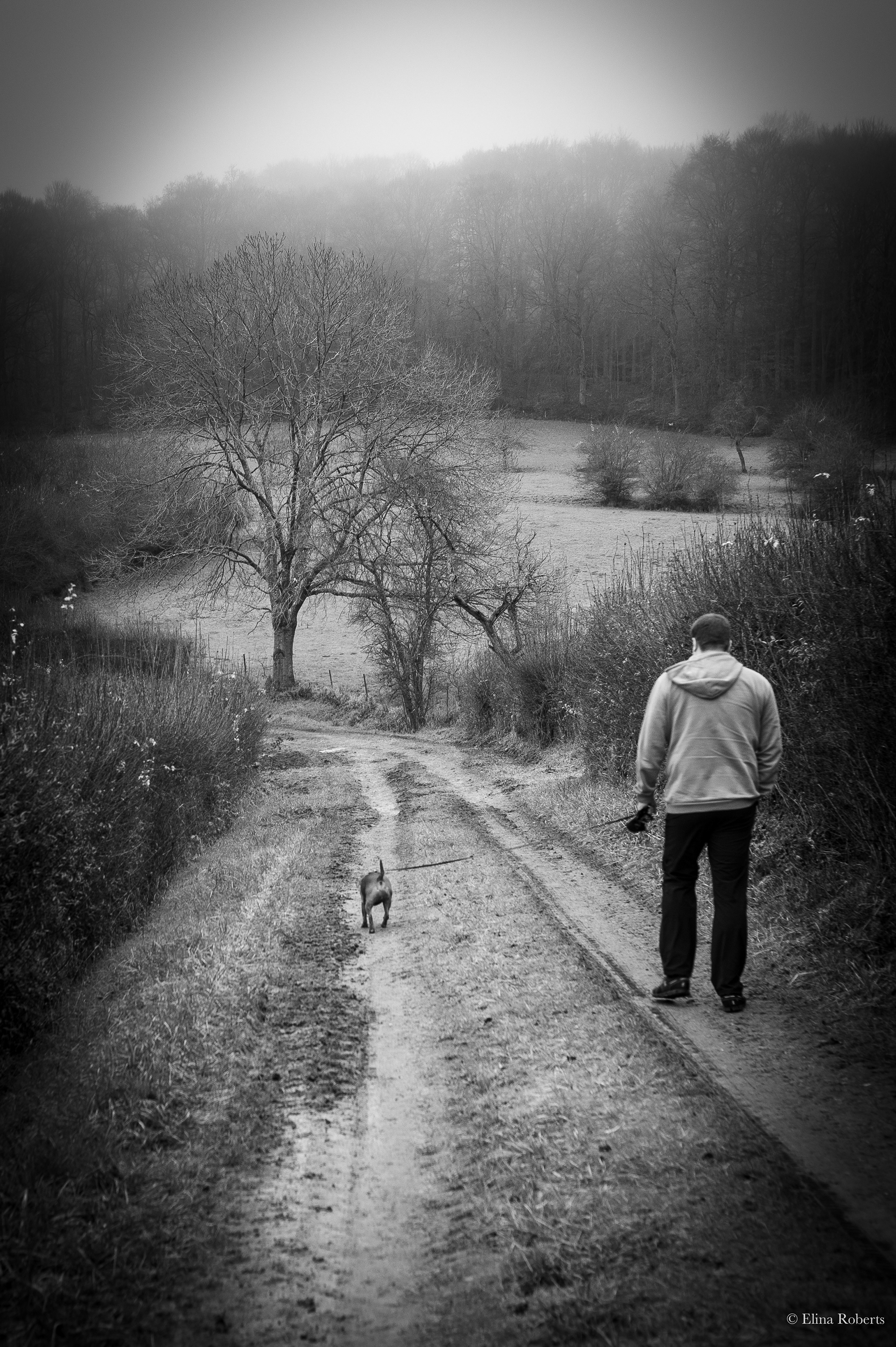 Man and hound