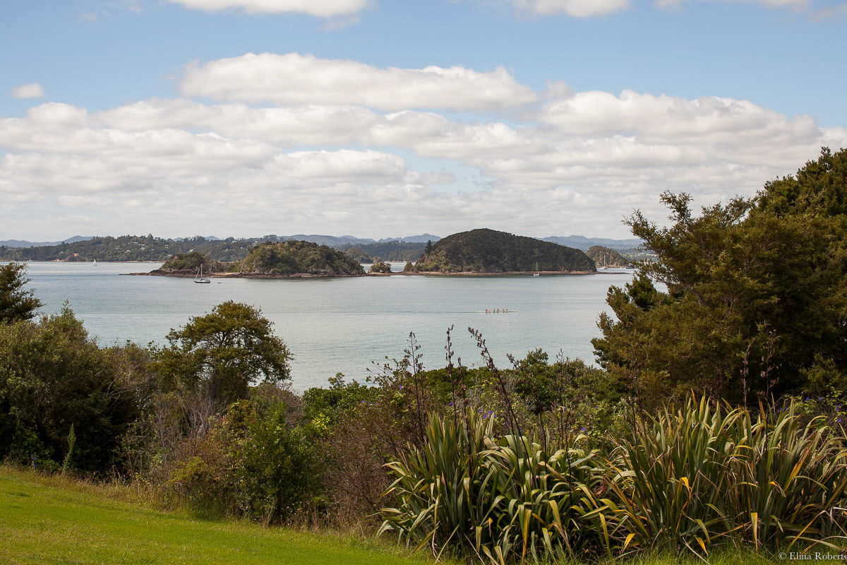 Paihia