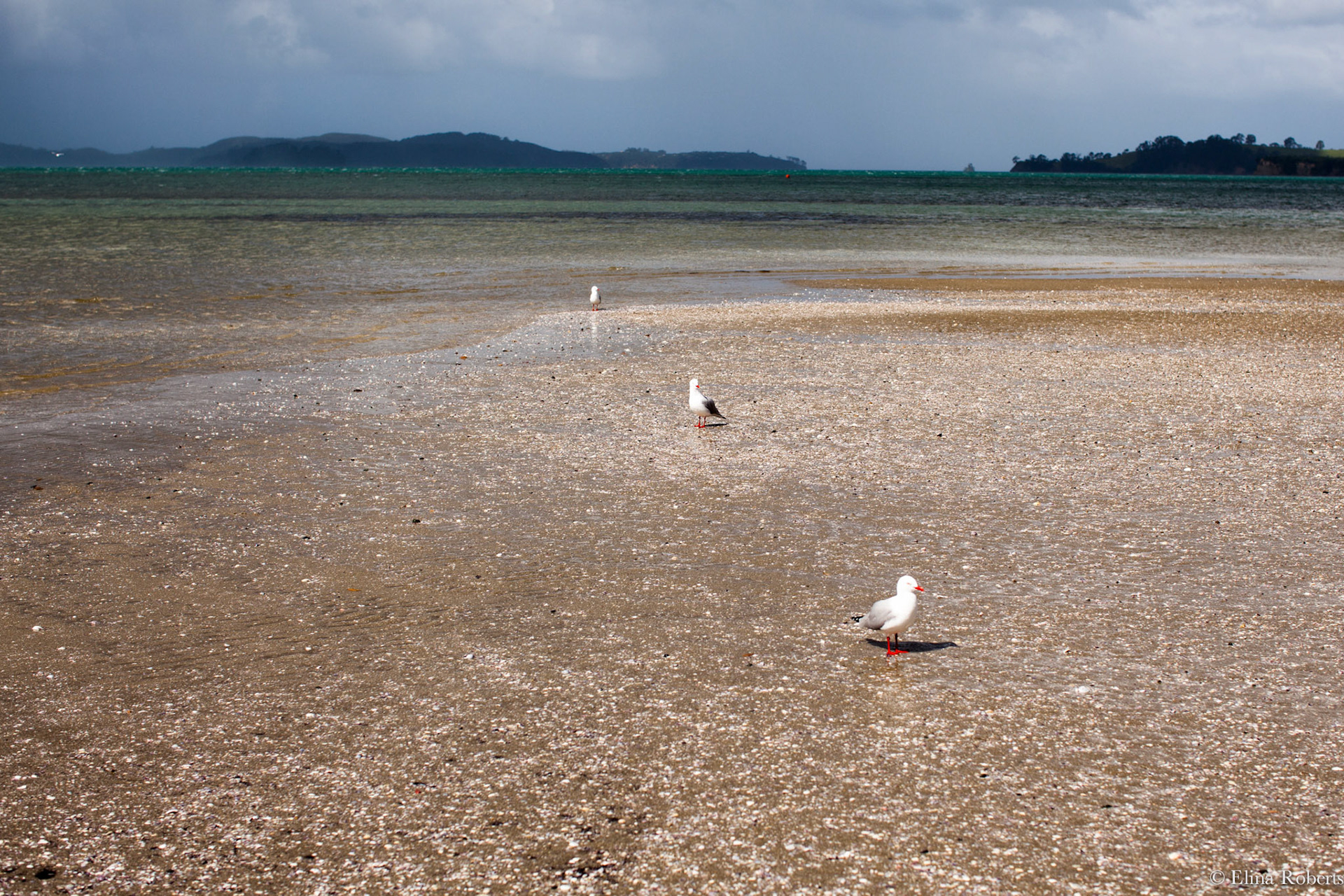 One of the many beaches