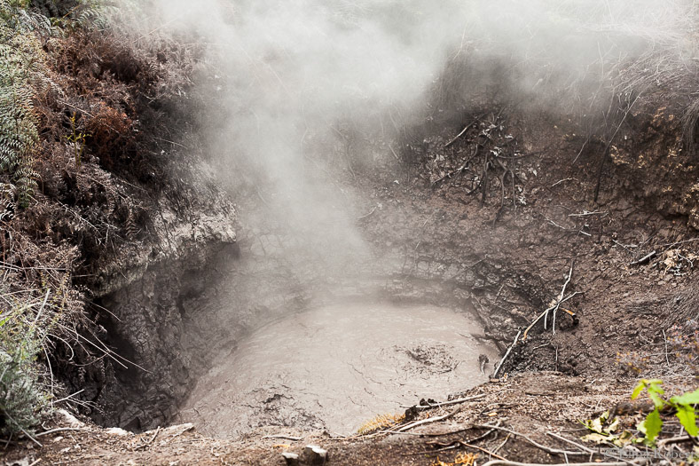 Rotorua