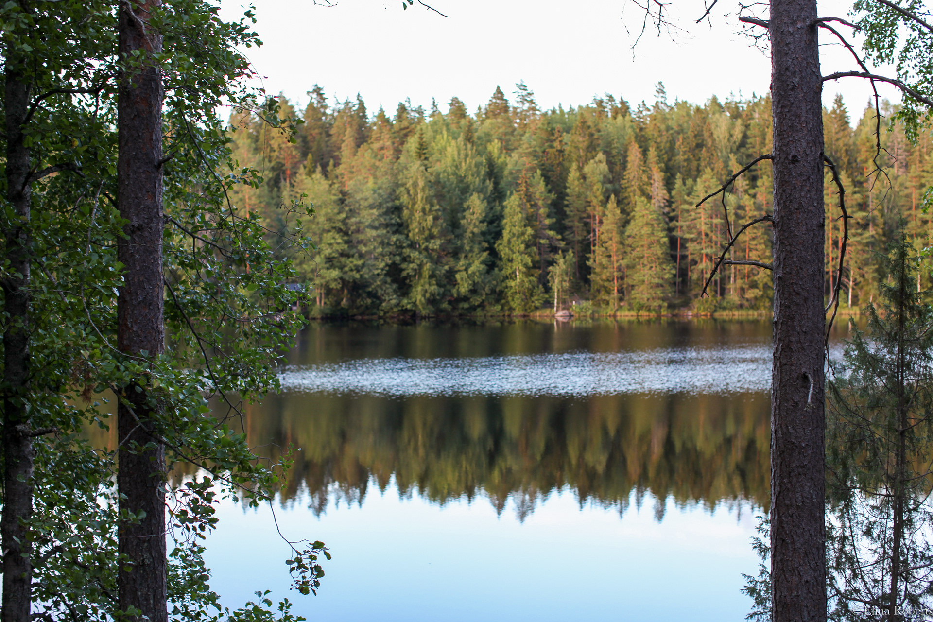 Haukkamäki, Nuuksio