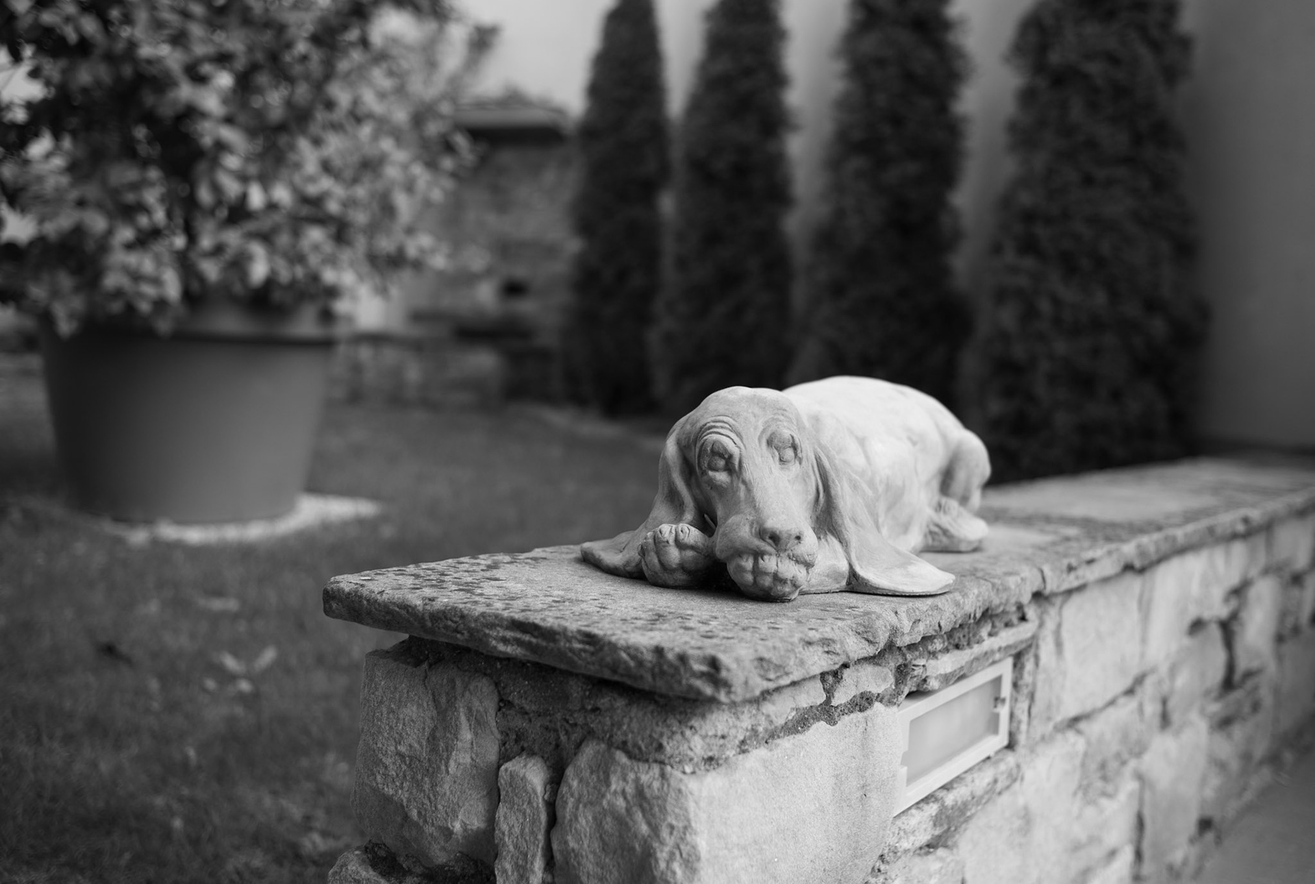 Residence Fiesole