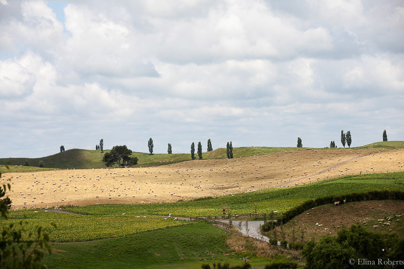 Hobbiton