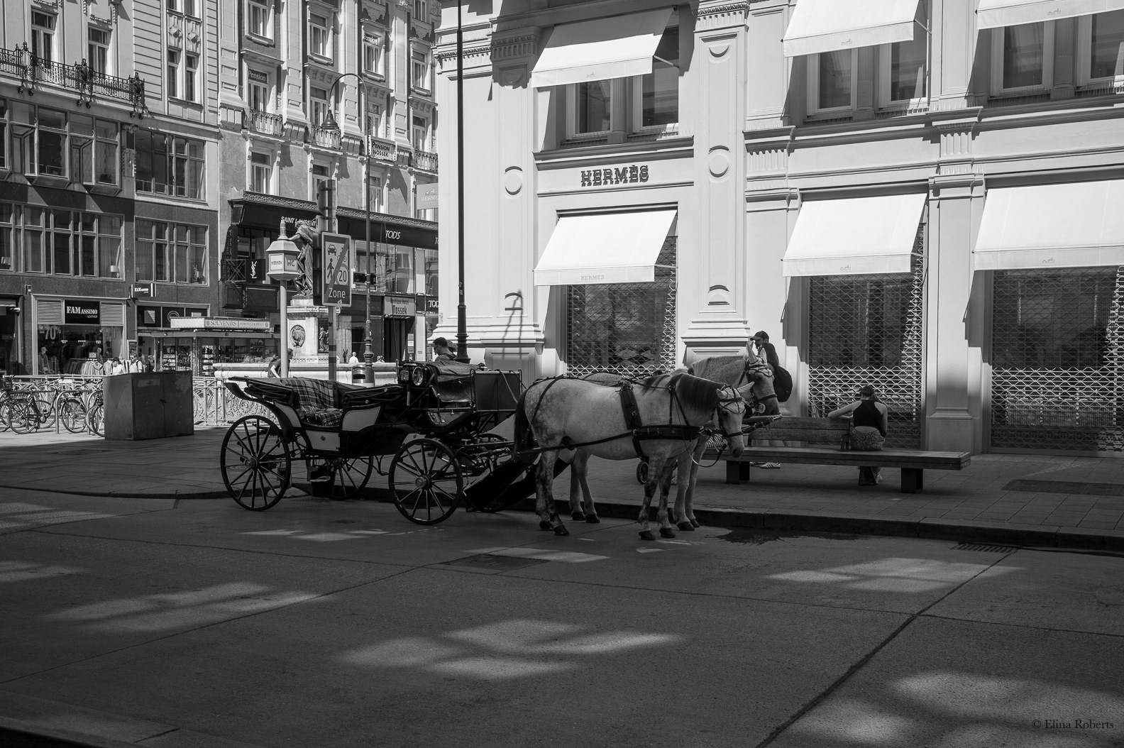 Vienna 2026