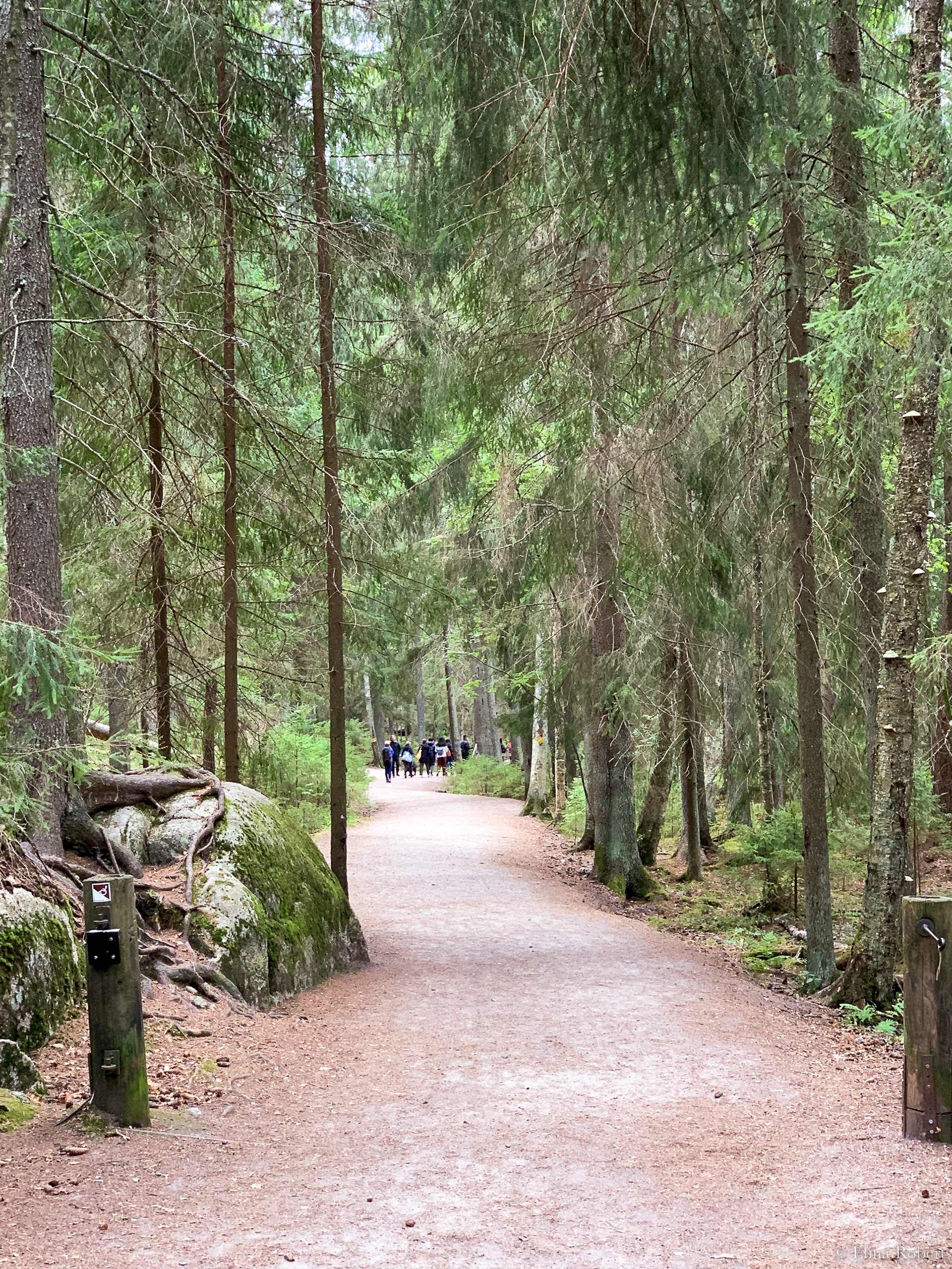 Haukkalampi, Nuuksio