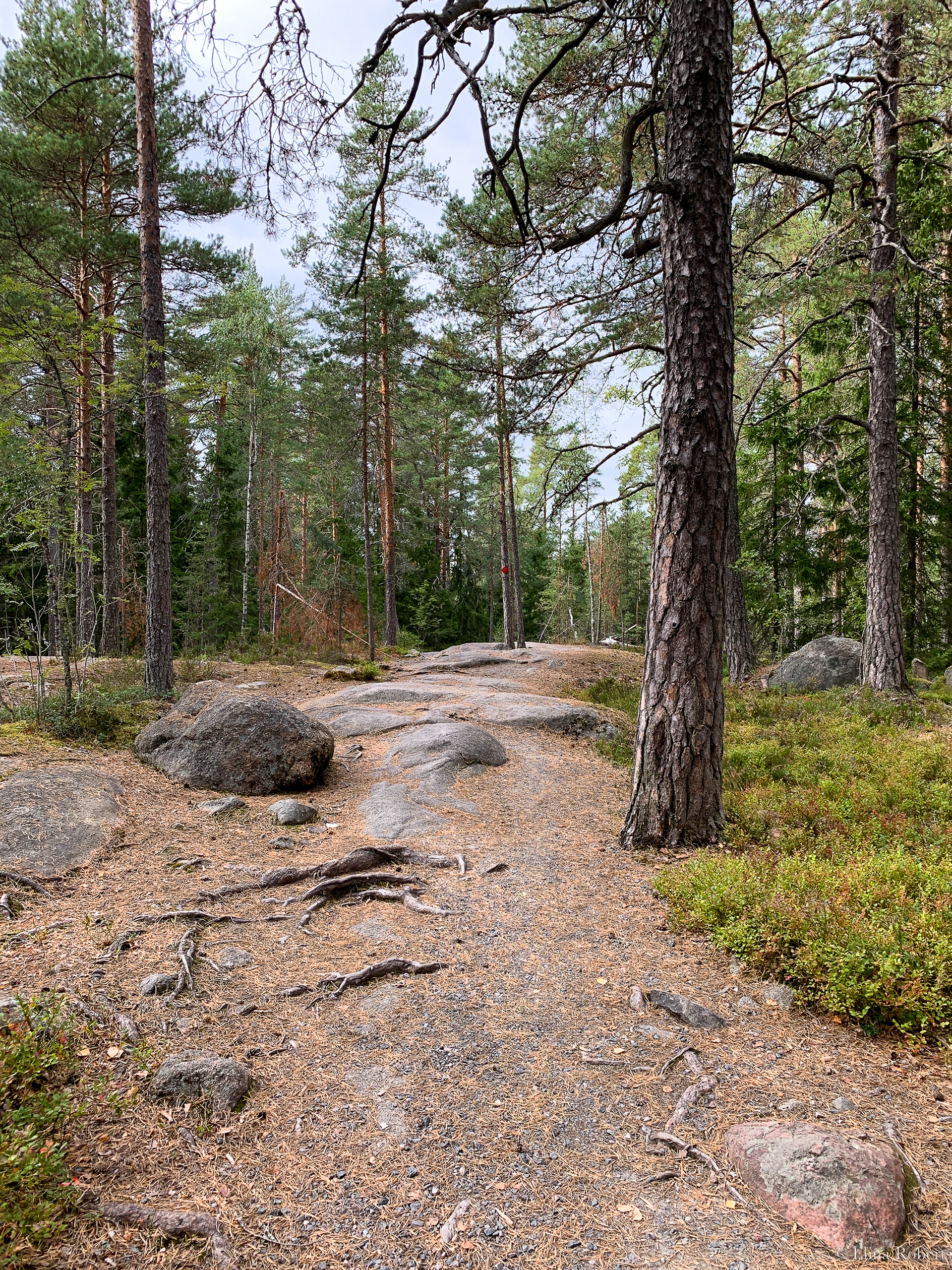 Haukkalampi, Nuuksio