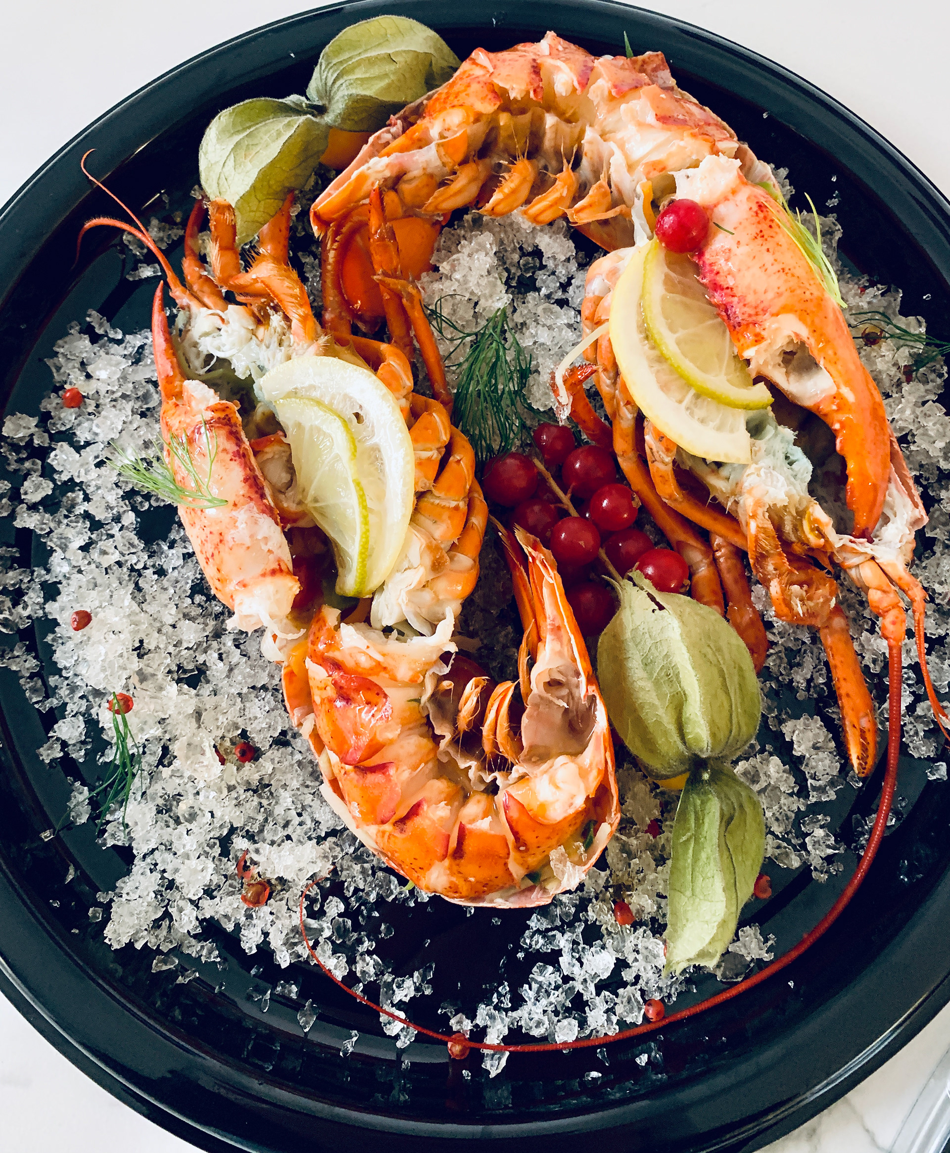 Lolly the Lobster, LU
