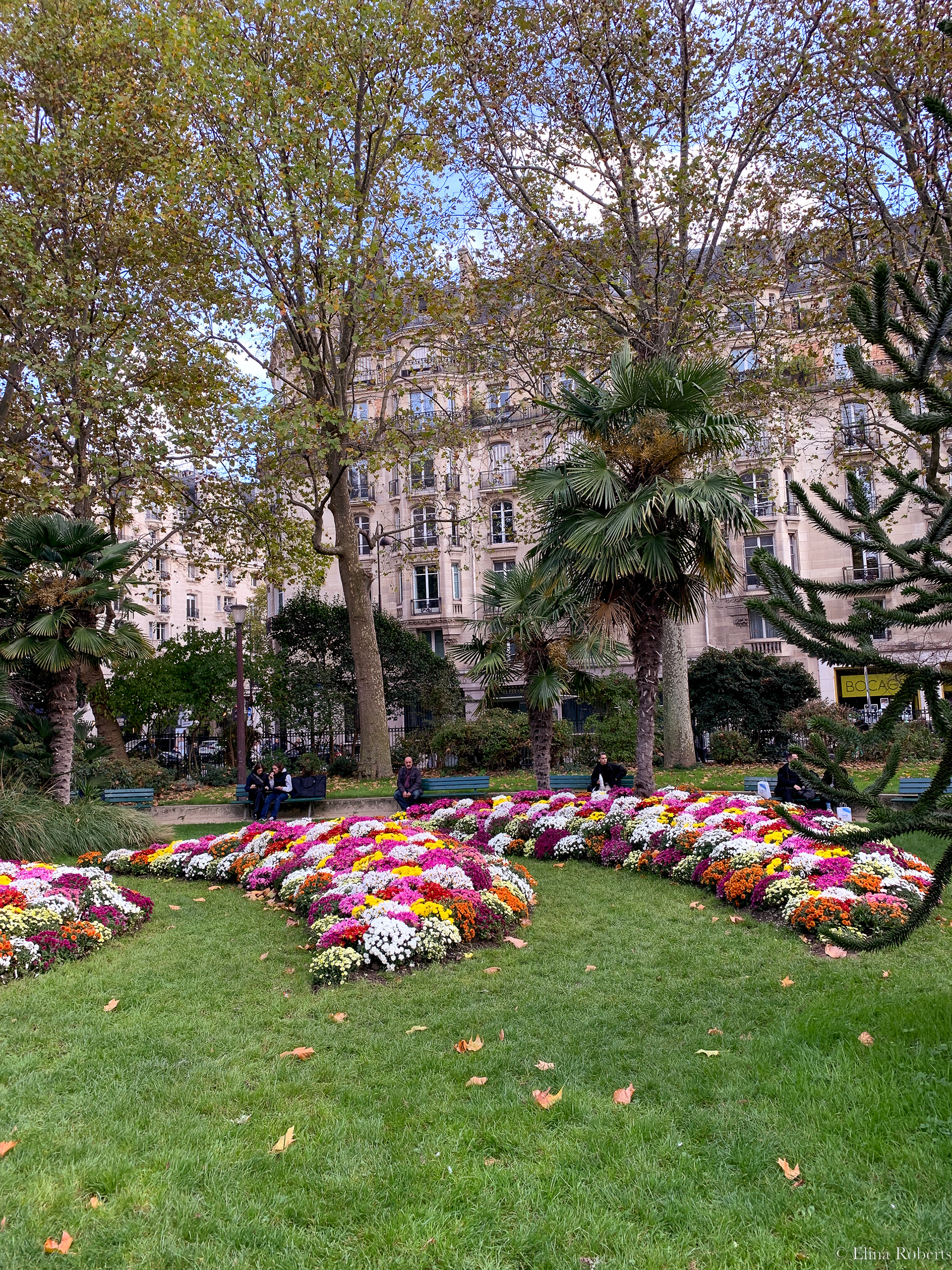 Jardin
