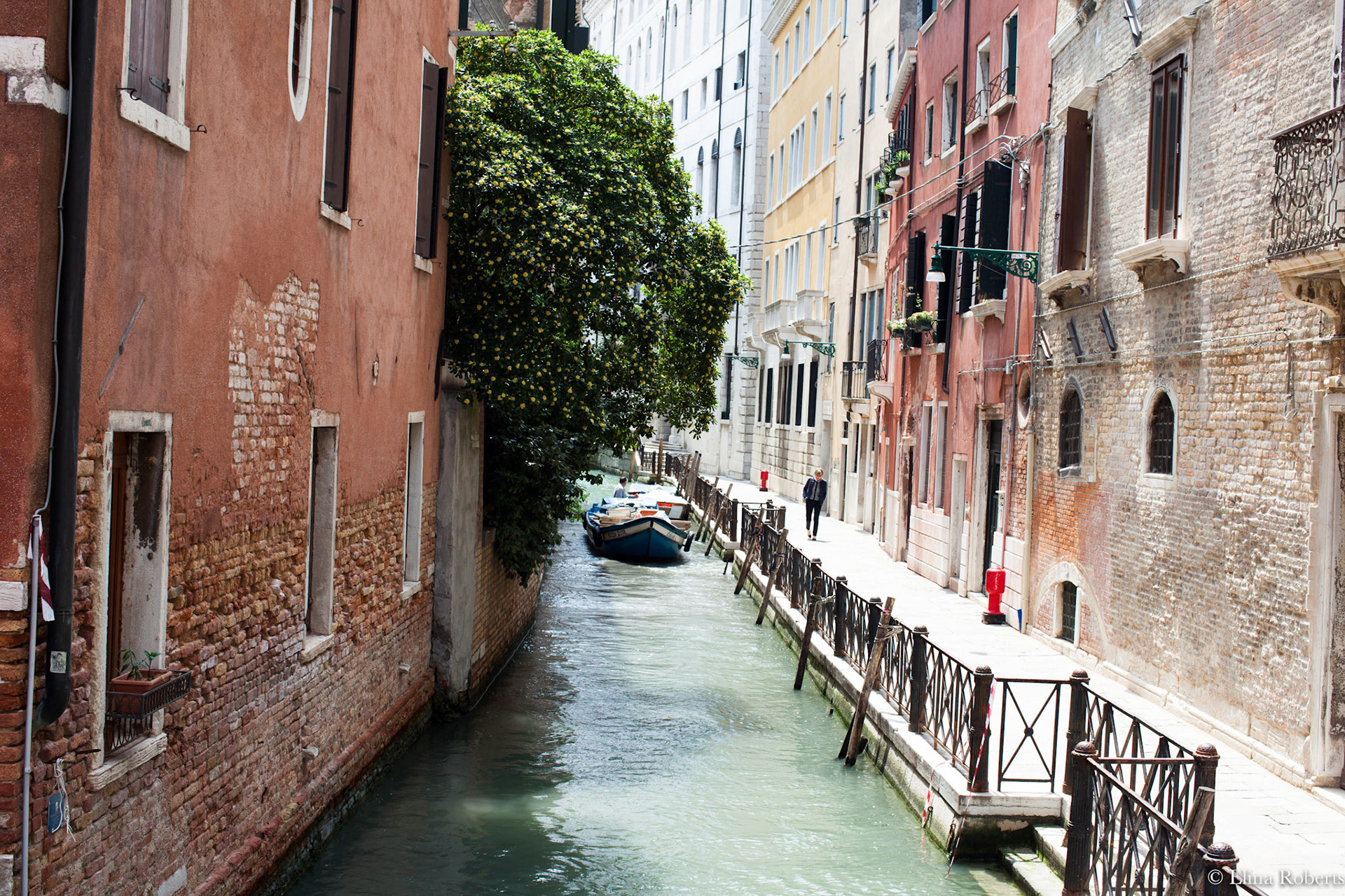 Venezia