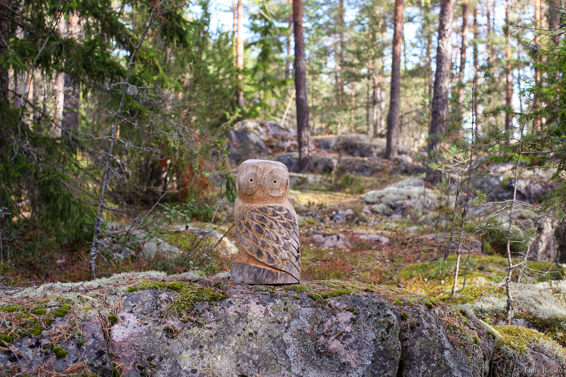 Haukkamäki, Nuuksio