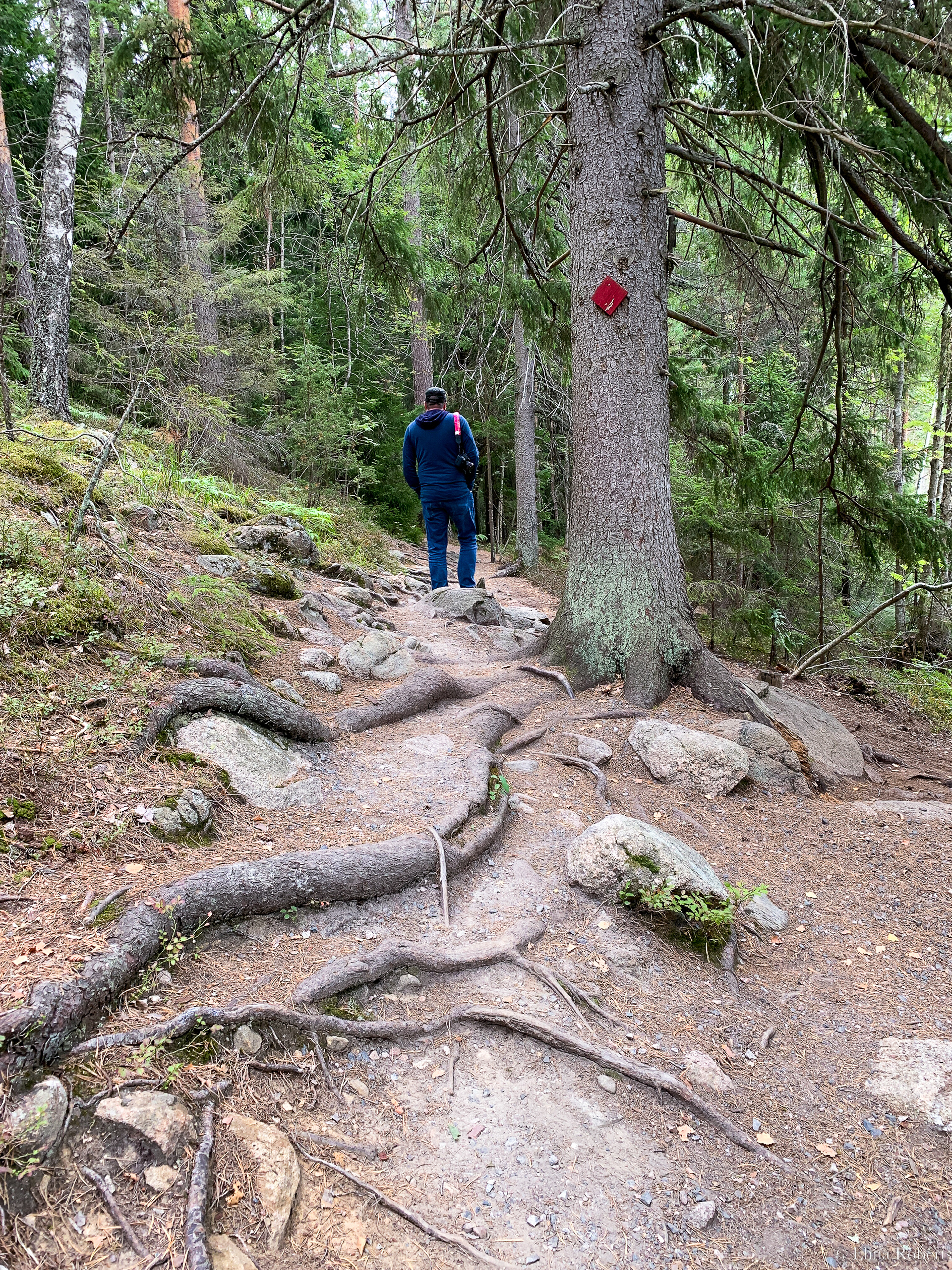 Haukkalampi, Nuuksio