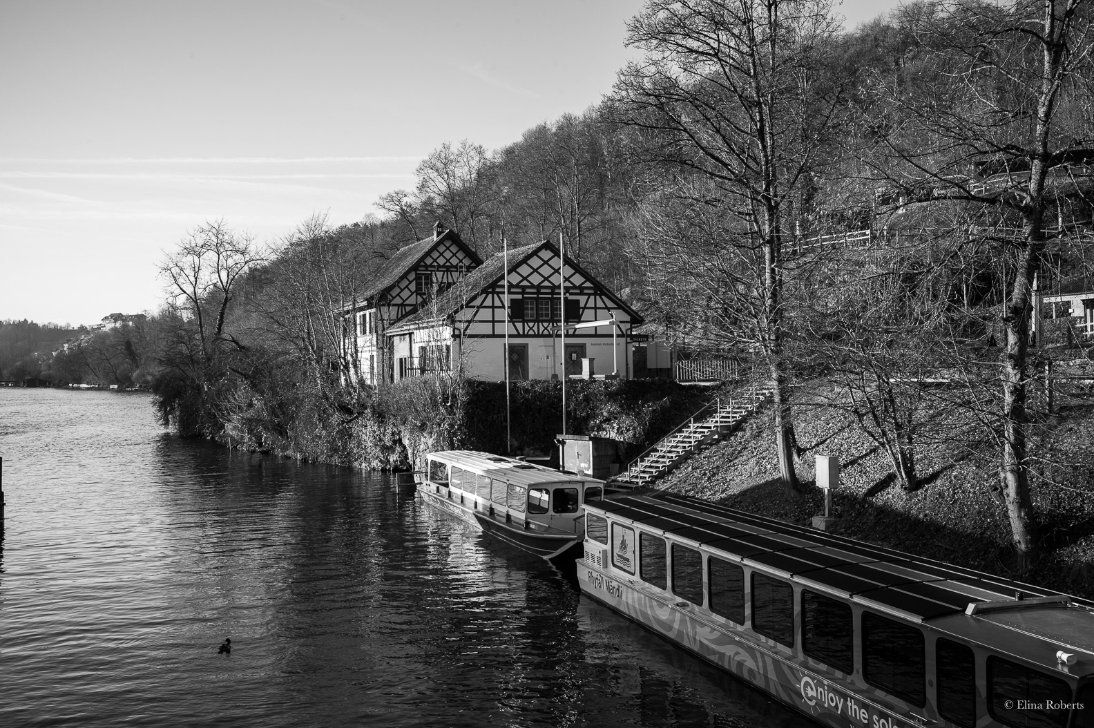 Rhine Falls Switzerland
