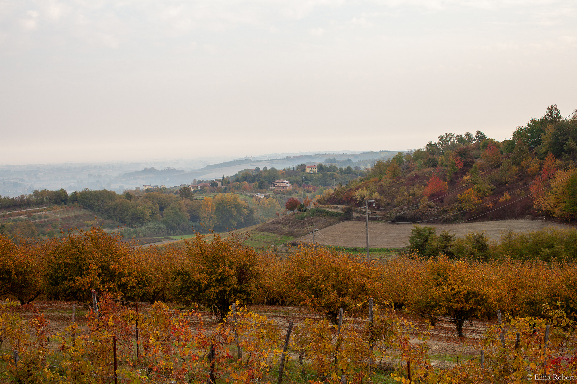 Piemonte