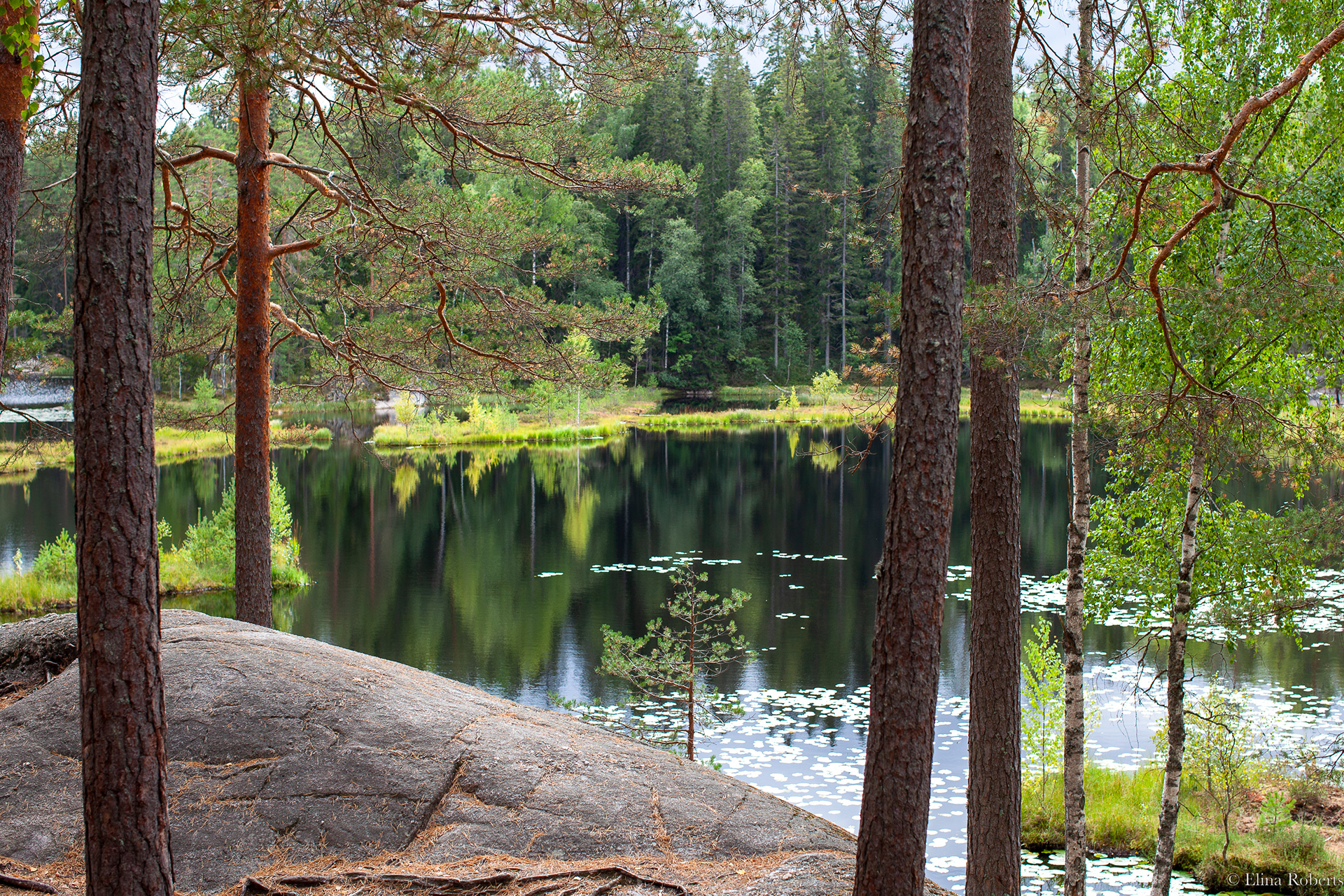 Haukkalampi, Nuuksio