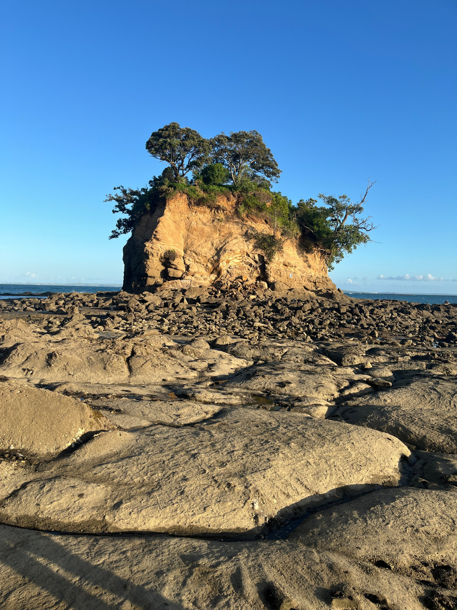 Low tide in Browns Bay