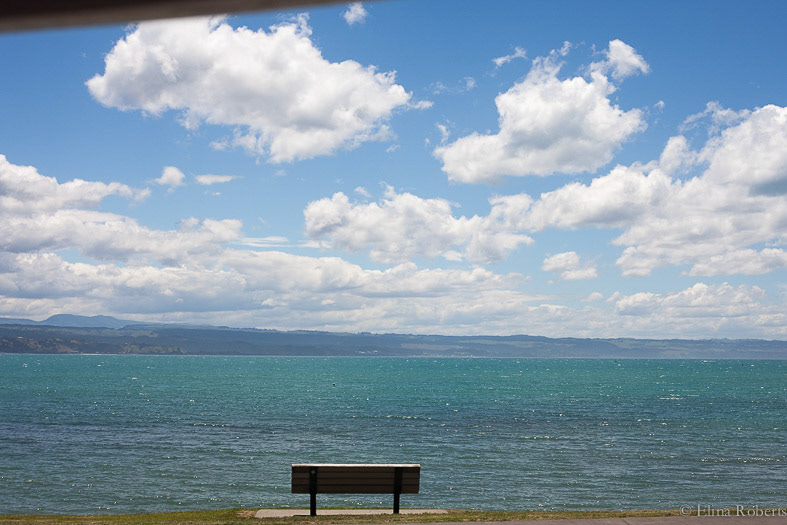 Napier