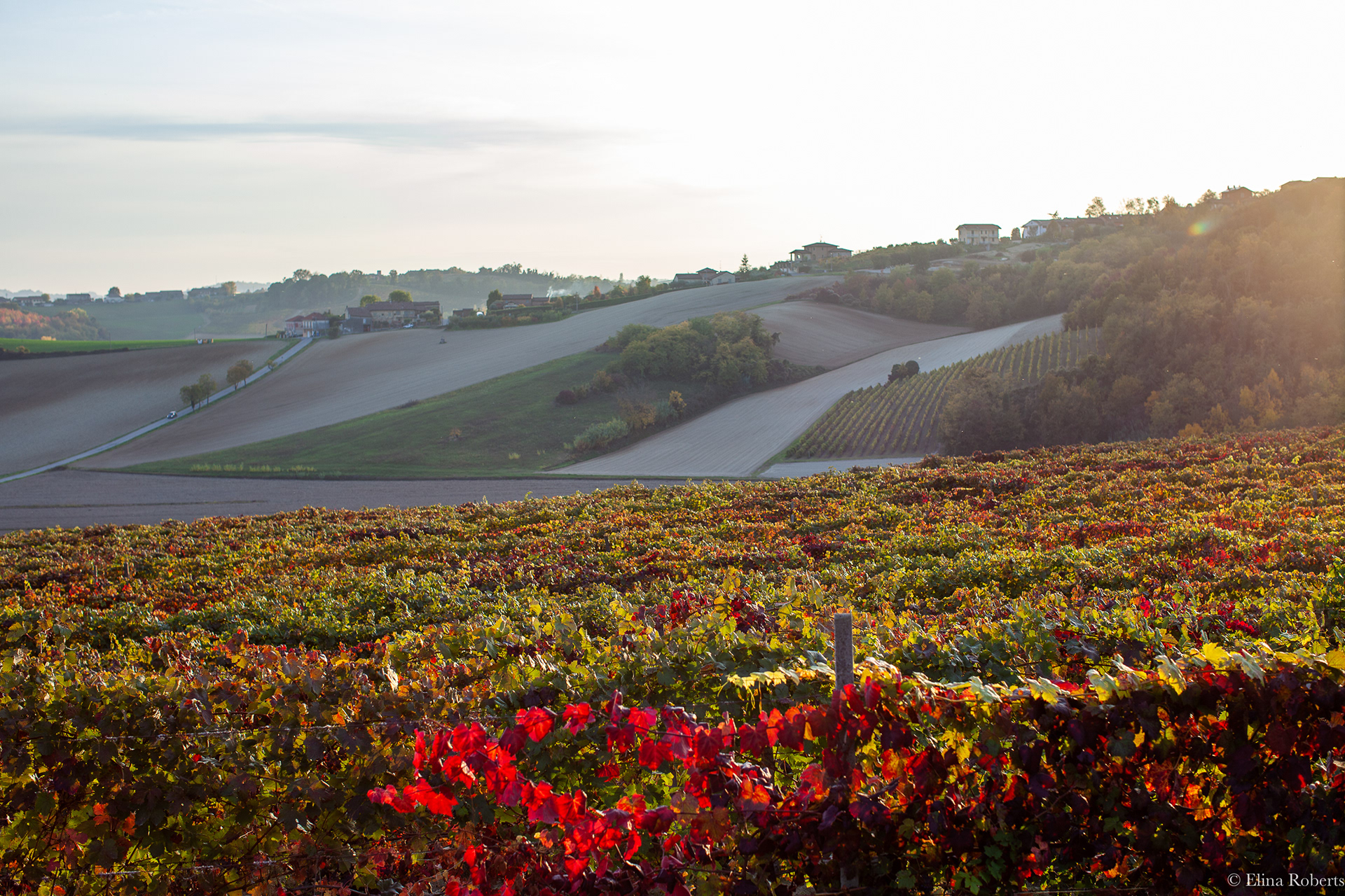 Casale Monferrato