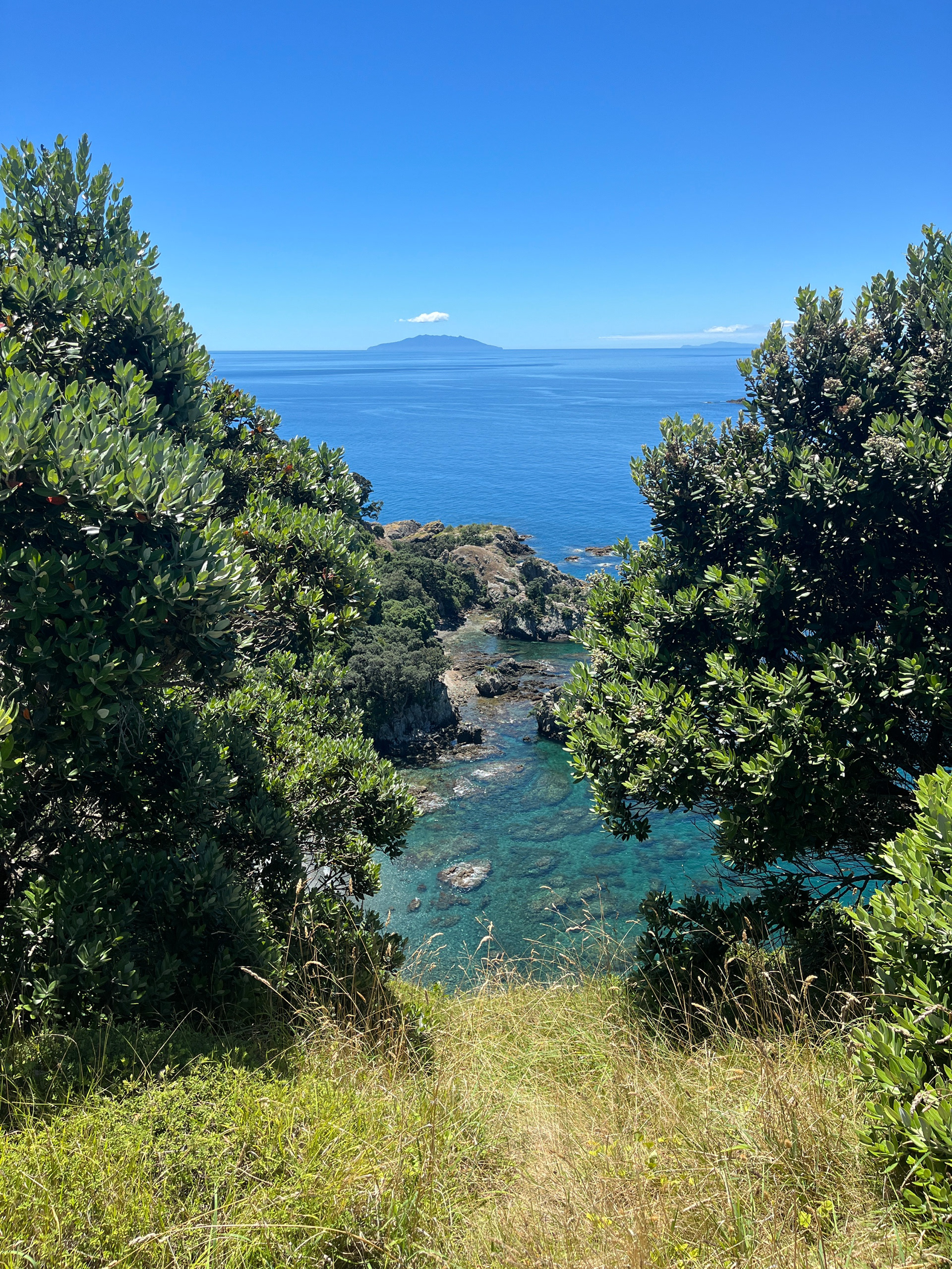 Tiritiri Matangi