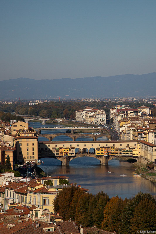 Firenze