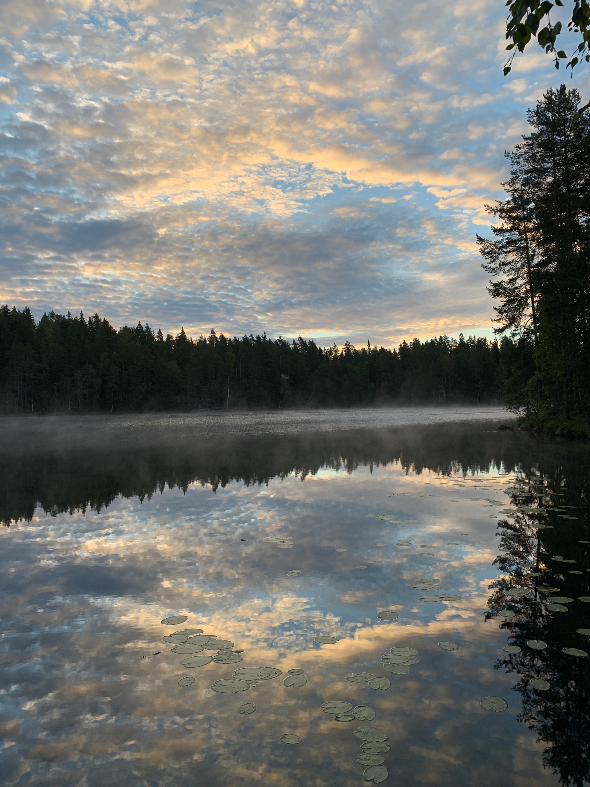 Haukkamäki, Nuuksio