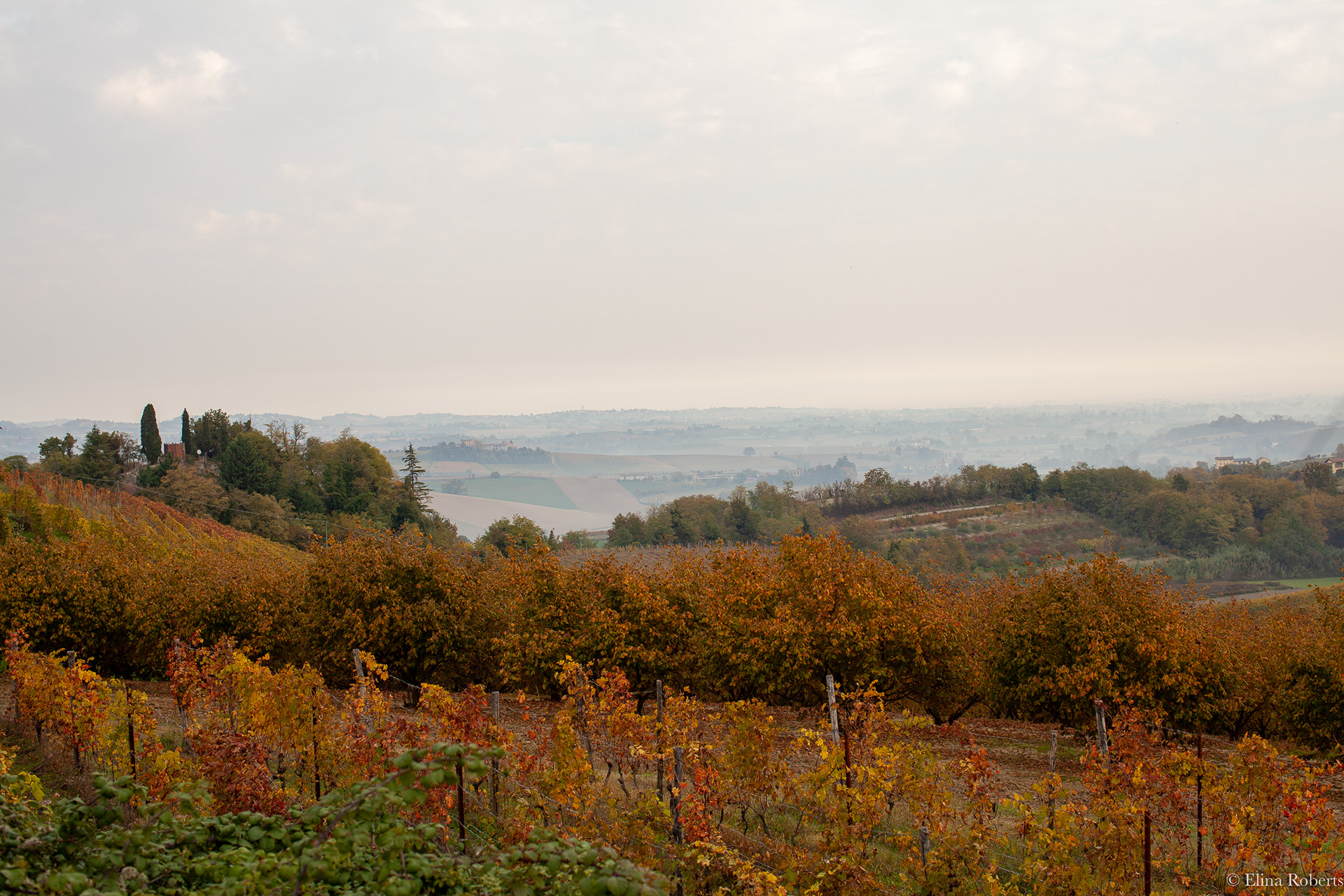 Piemonte