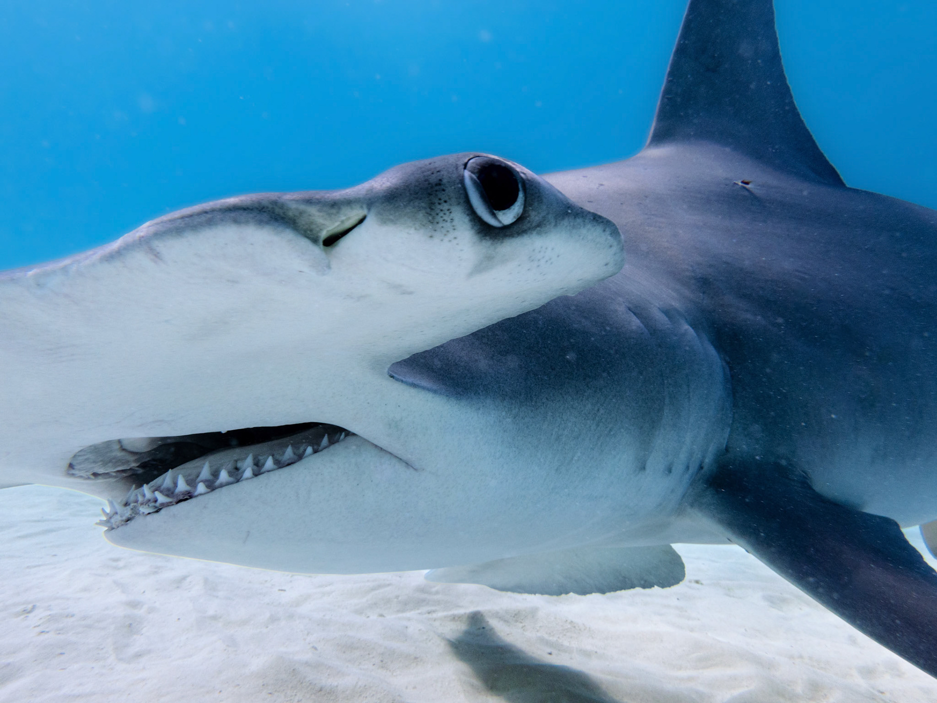 Processed with VSCO with al1pro preset