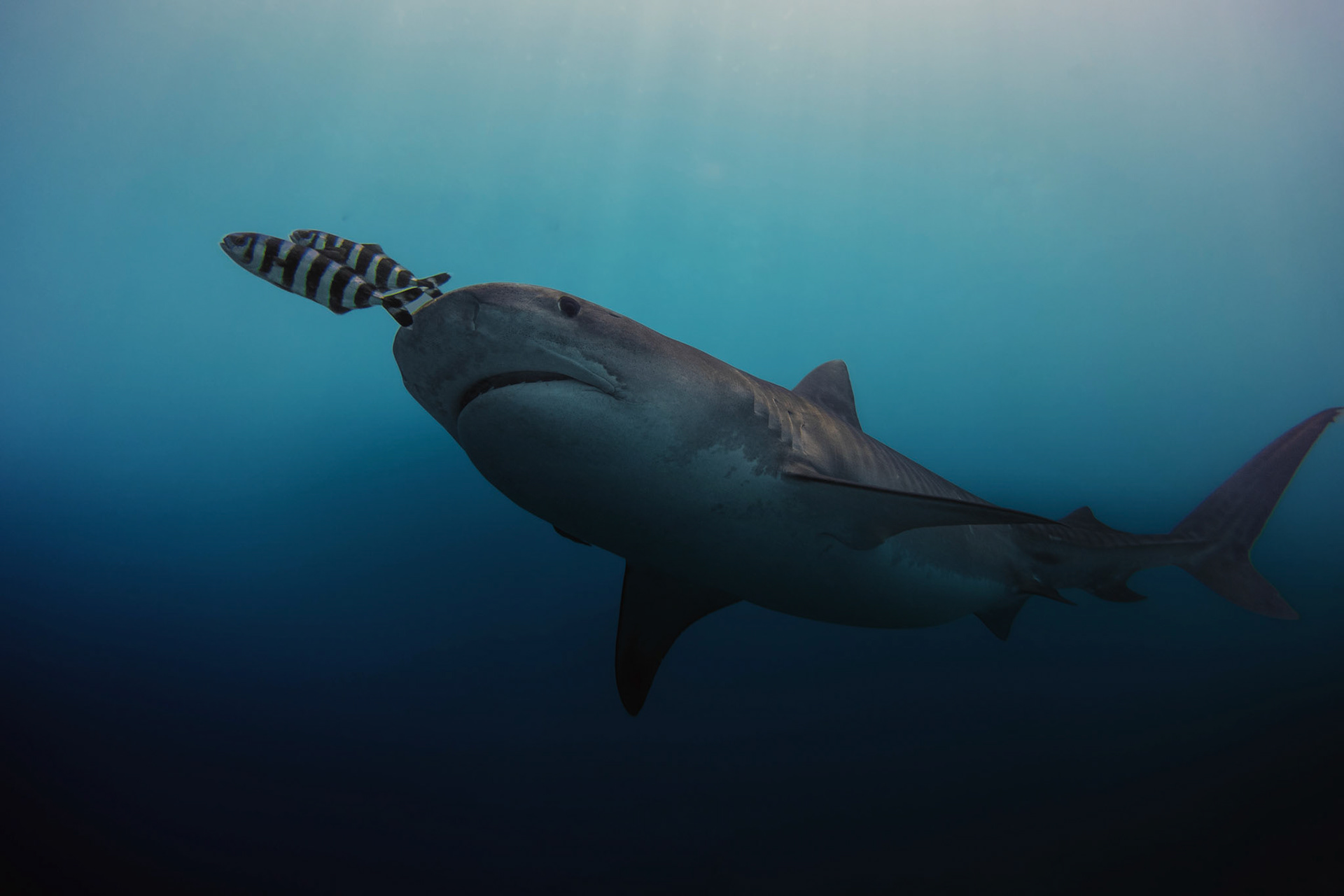 Processed with VSCO with ke1 preset