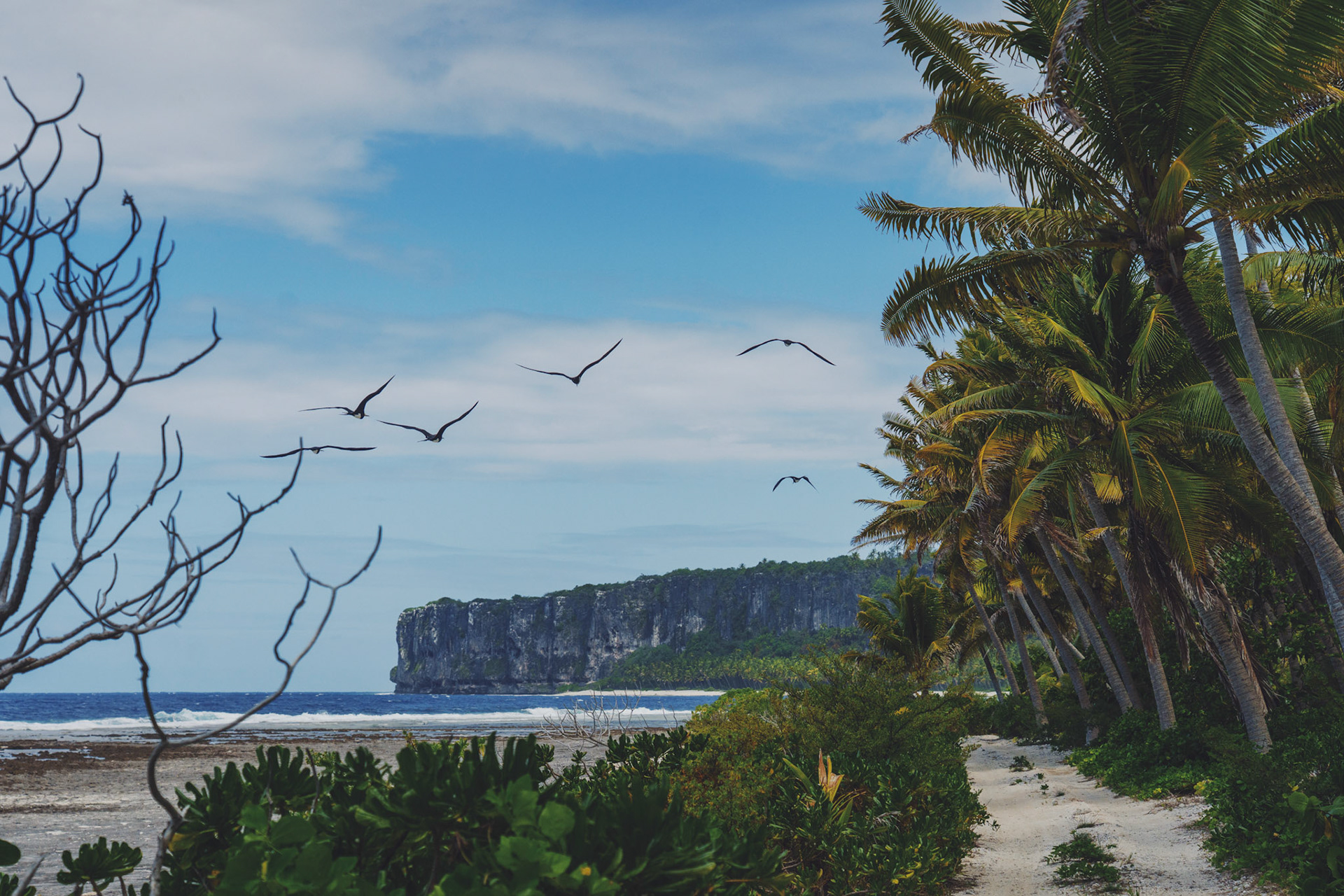 Processed with VSCO with kp8 preset