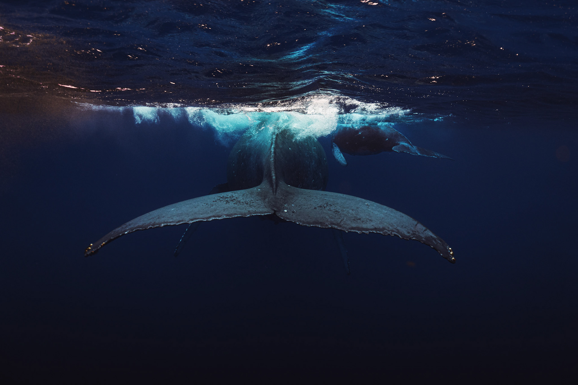 Processed with VSCO with a4pro preset