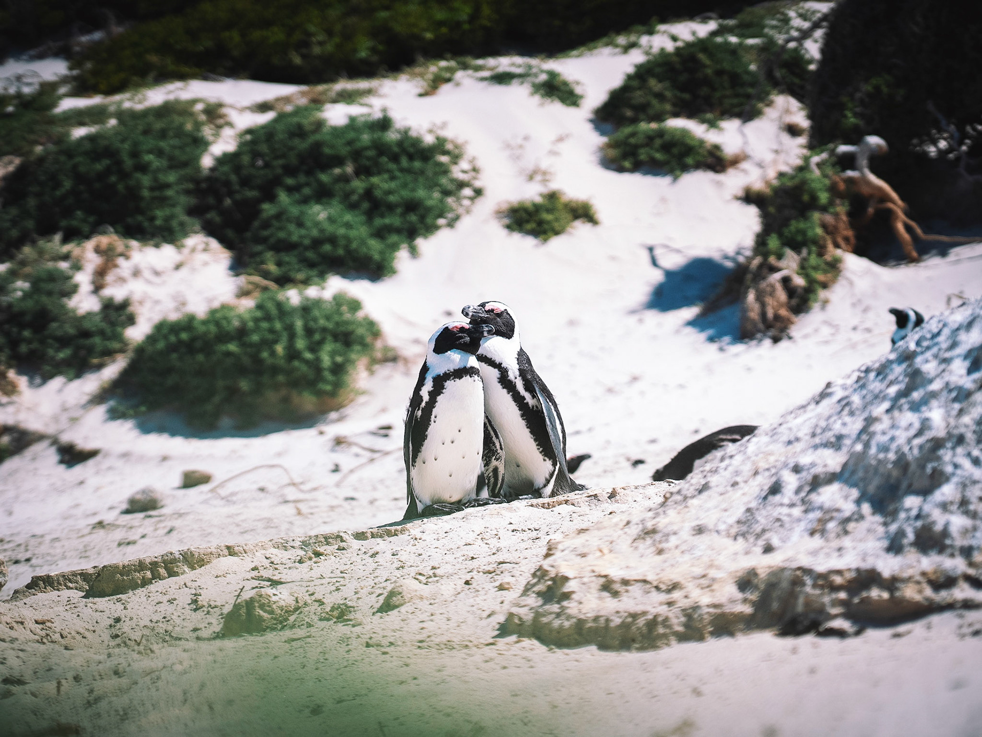 Processed with VSCO with k2 preset
