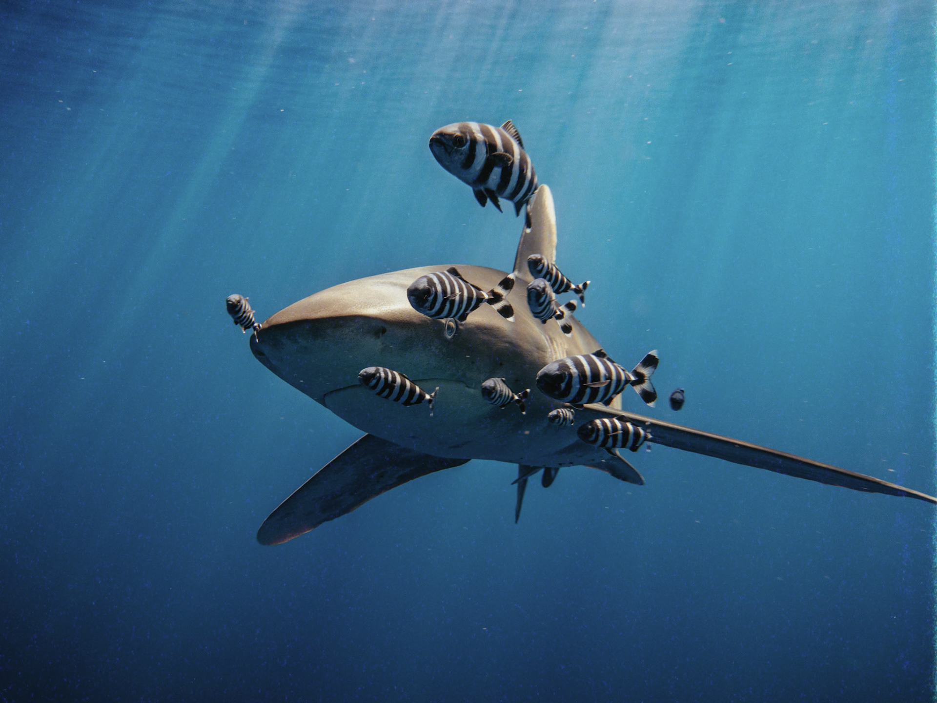 Processed with VSCO with ka1 preset