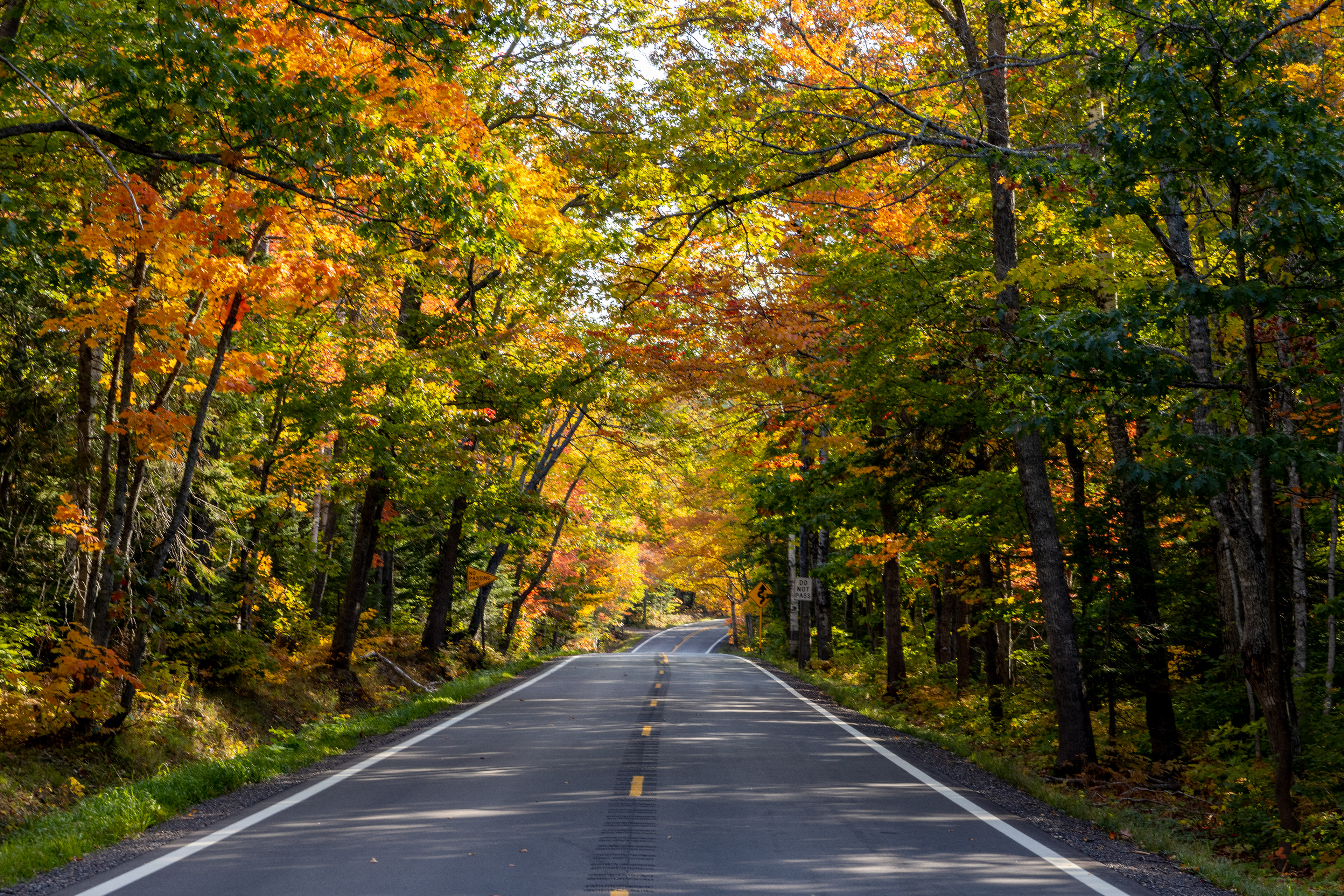 Covered Drive in Fall