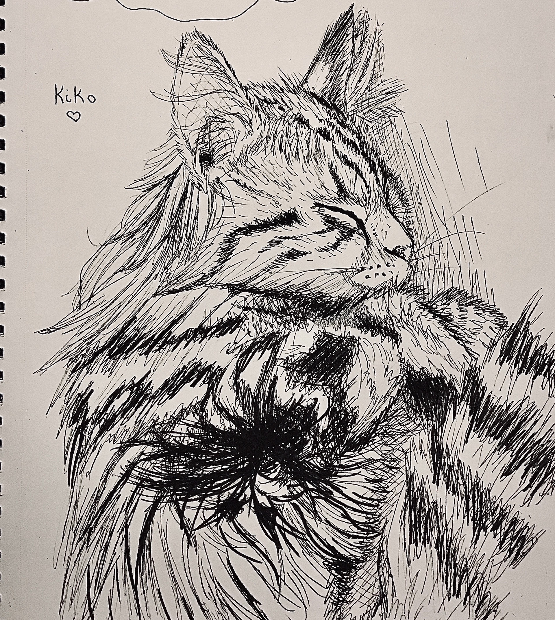 Juliette Albert "Kiko" Drawing, Portfolio Preparation: Observational Drawing Class