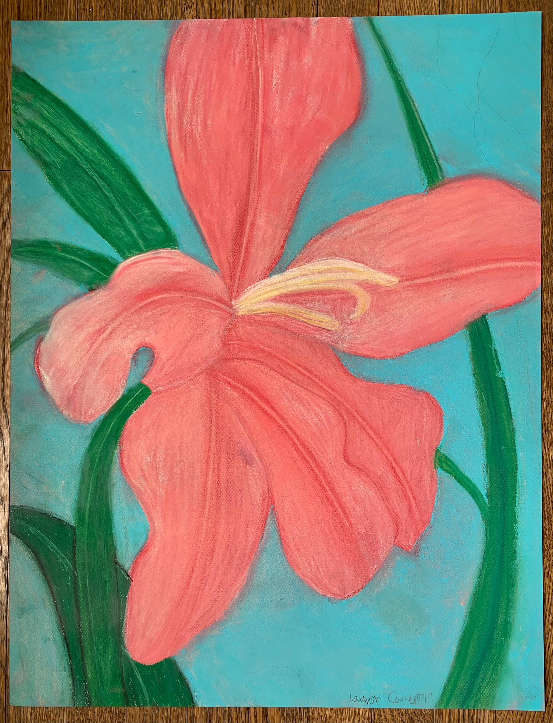 Lauren Cameron, "Flower", Pastels, Drawing From Nature