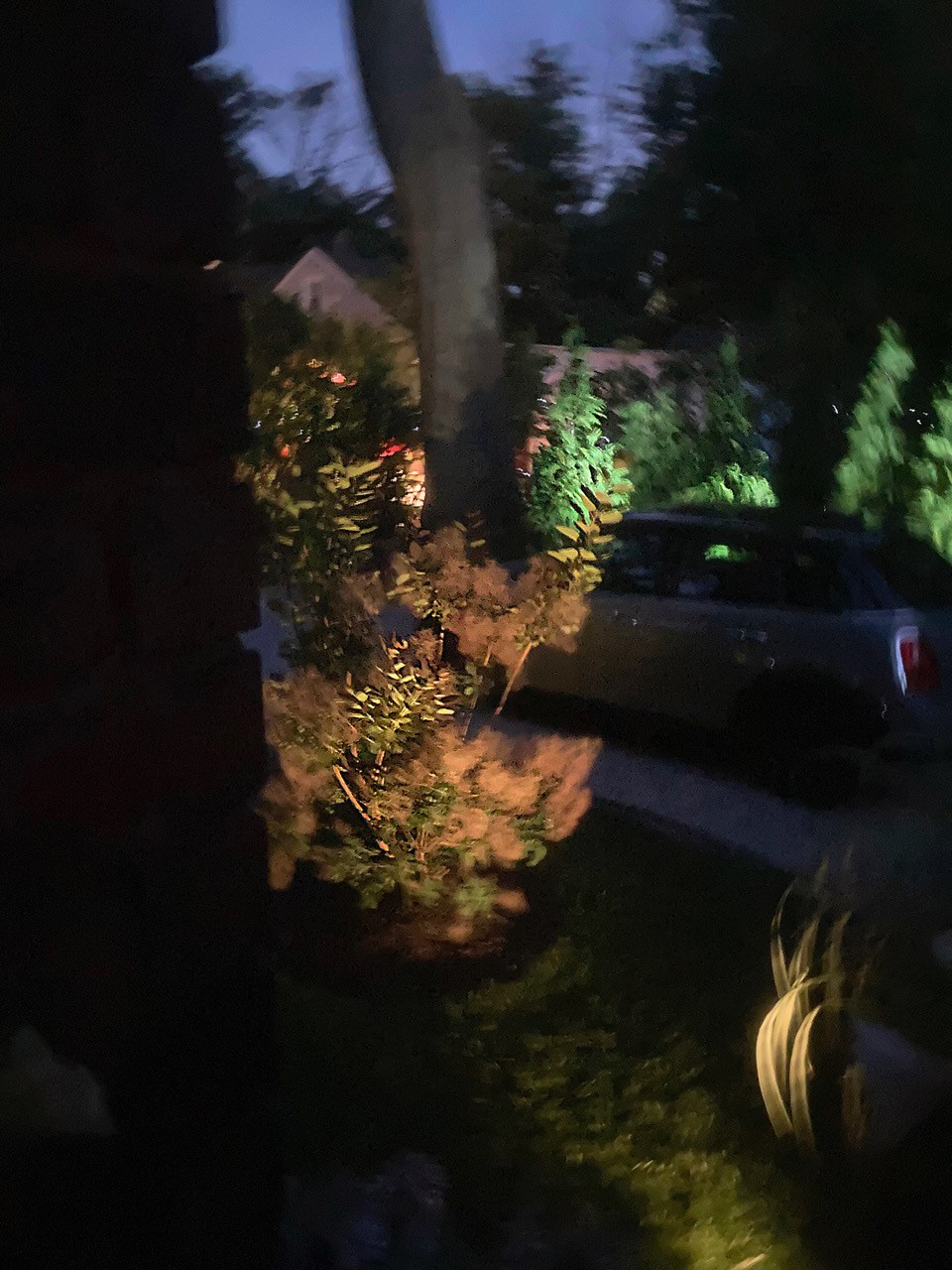 Michael Edwards, "Night Lite 1", Color Photograph, 16" x 20"