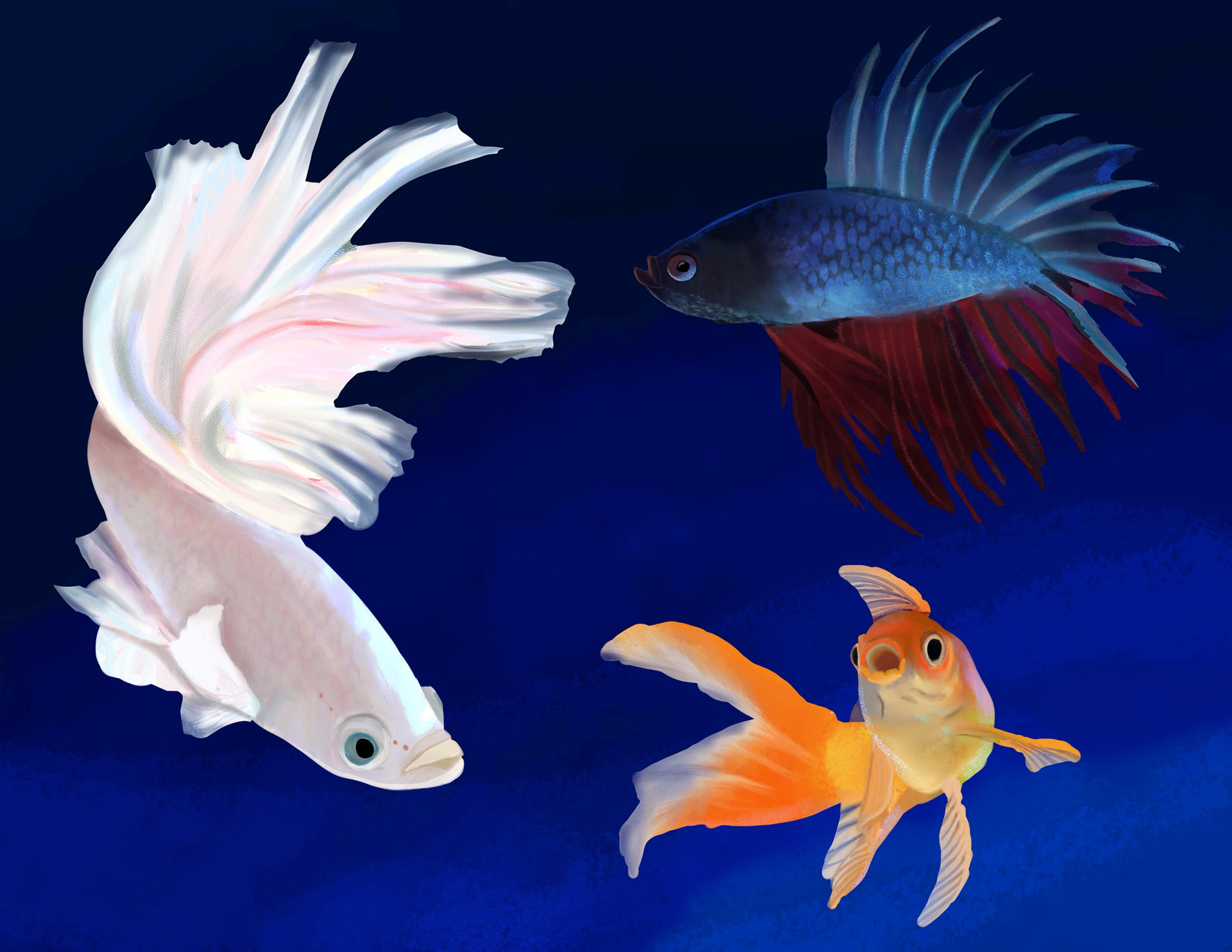 Meg Hahnenberg, "Fish", Digital Art, Digital Illustration