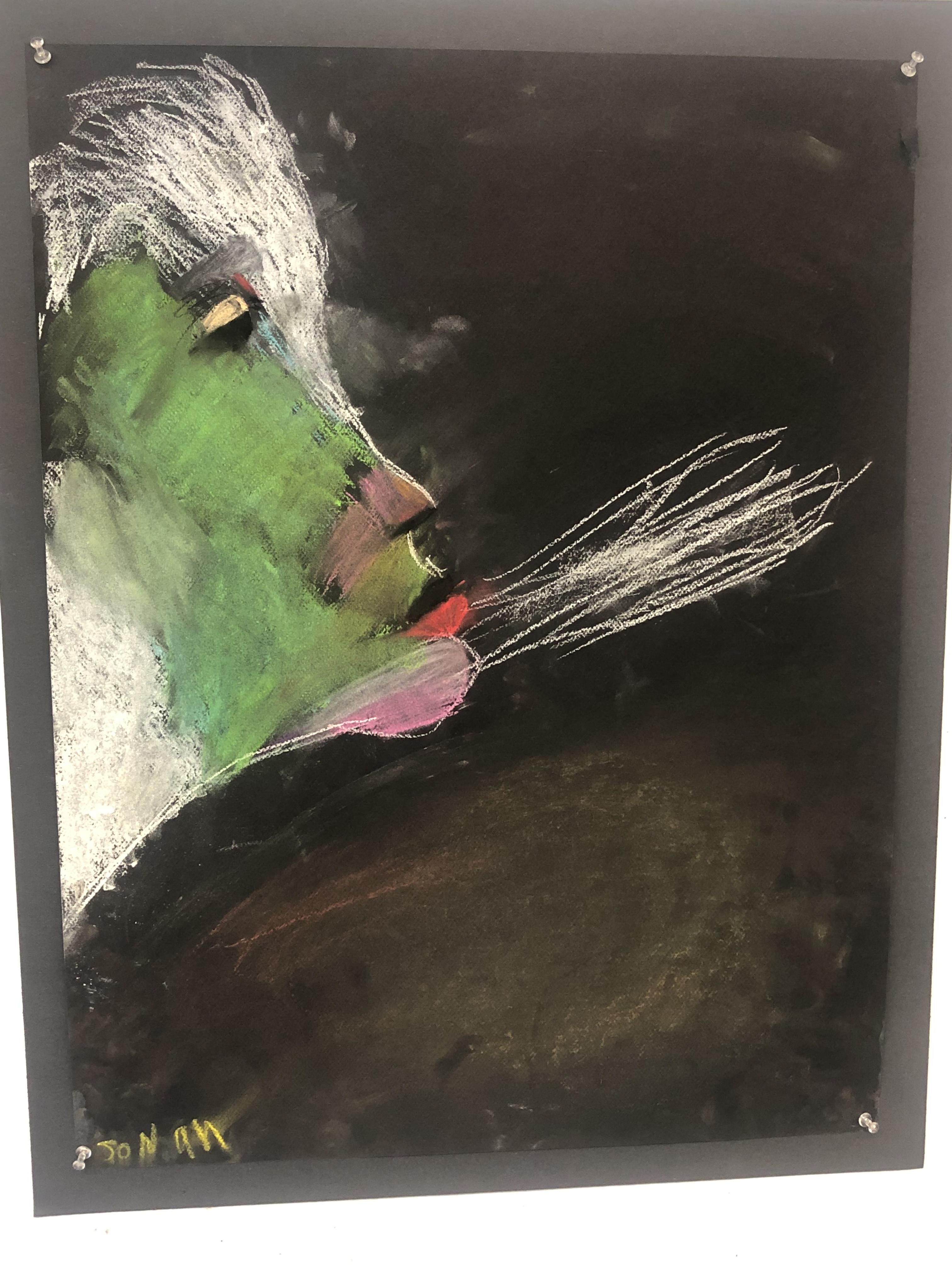 Jonah McMurdy, "Face of Emotion", Pastels and chalk, Drawing: Beyond the Pencil