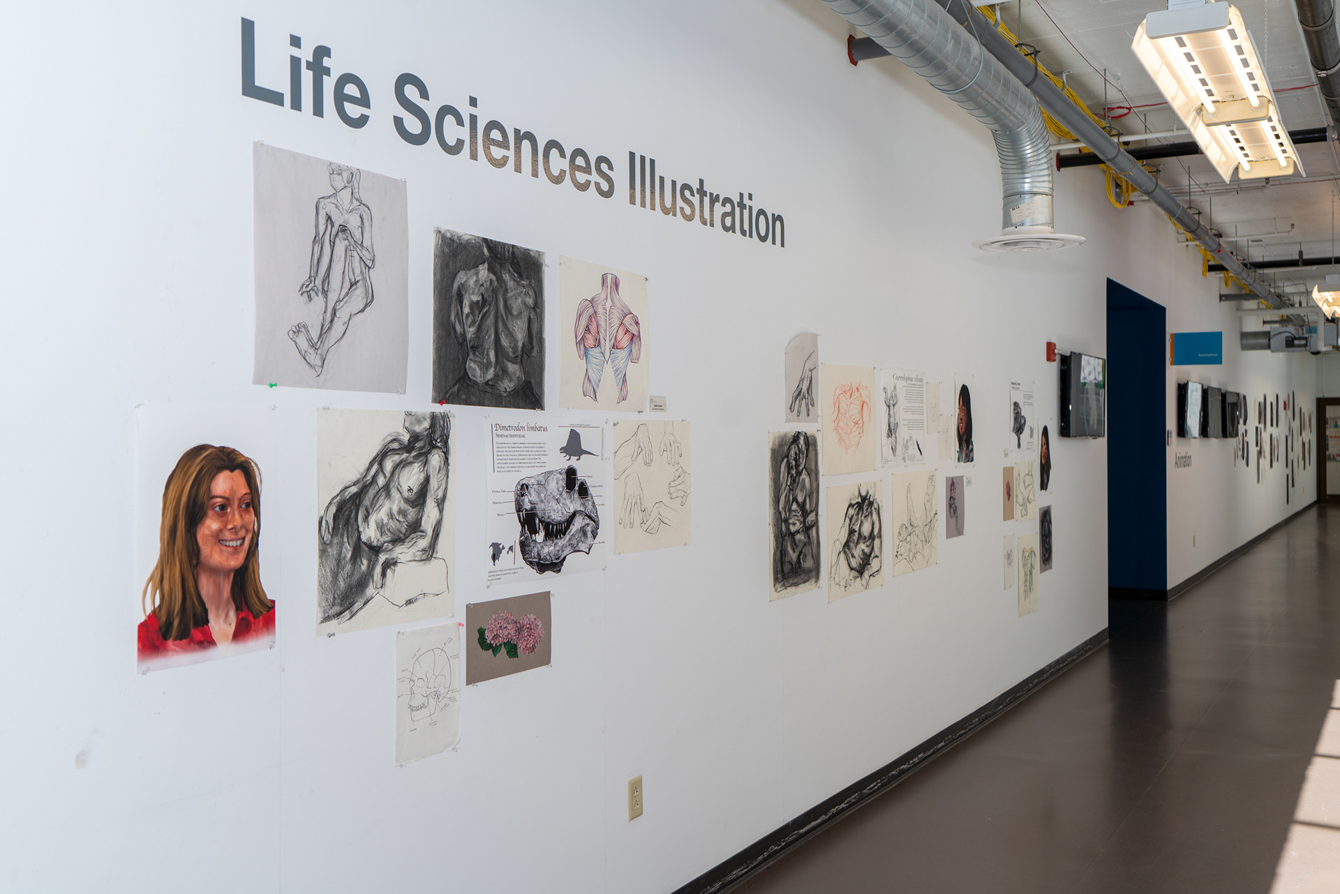 Life Sciences Illustration