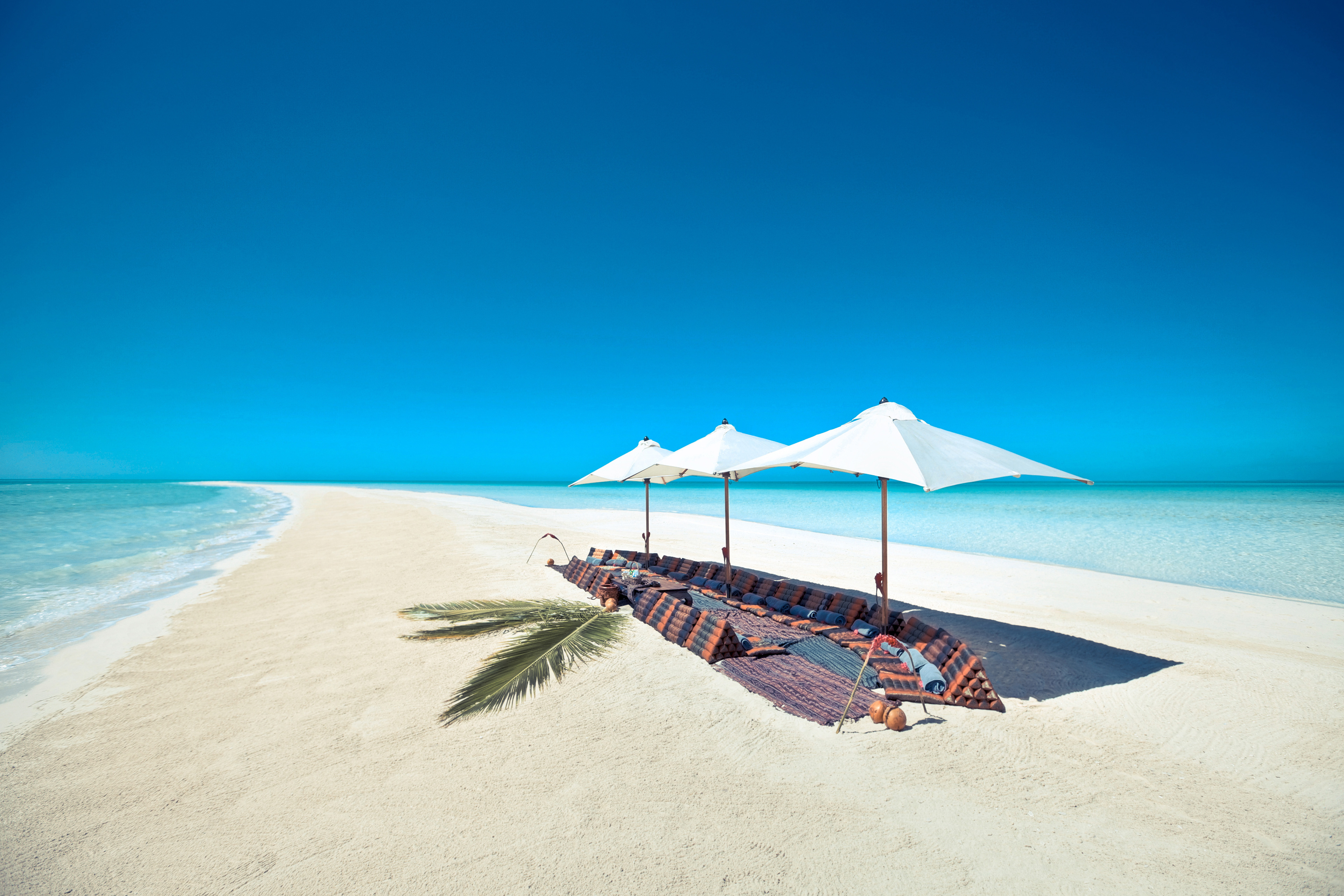 Sandbar Lunch | Exuma, Bahamas 