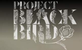 Project Blackbird