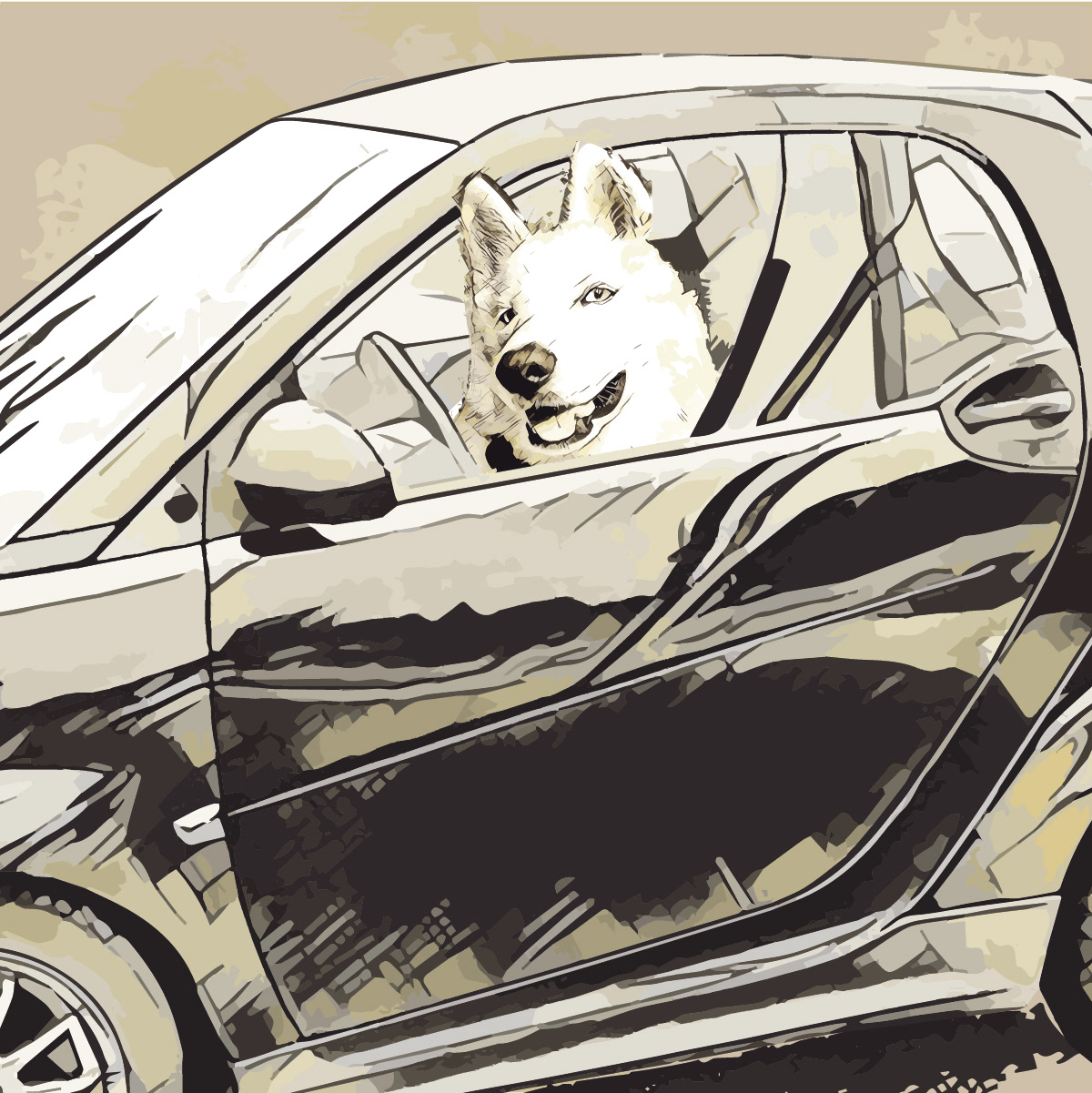 Boo in a Smart 4 Two