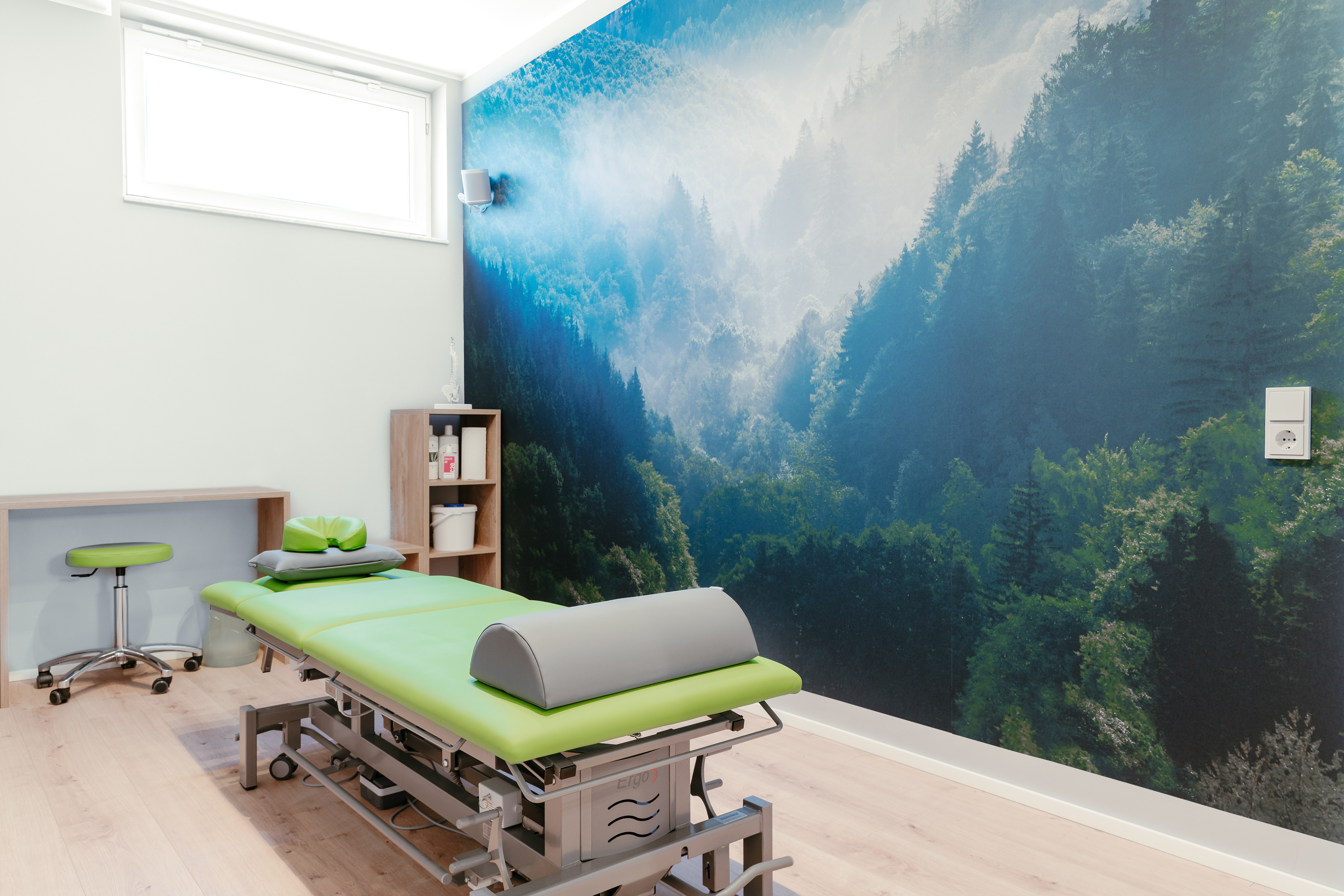 PhysioOs einschliessl. Wandbild