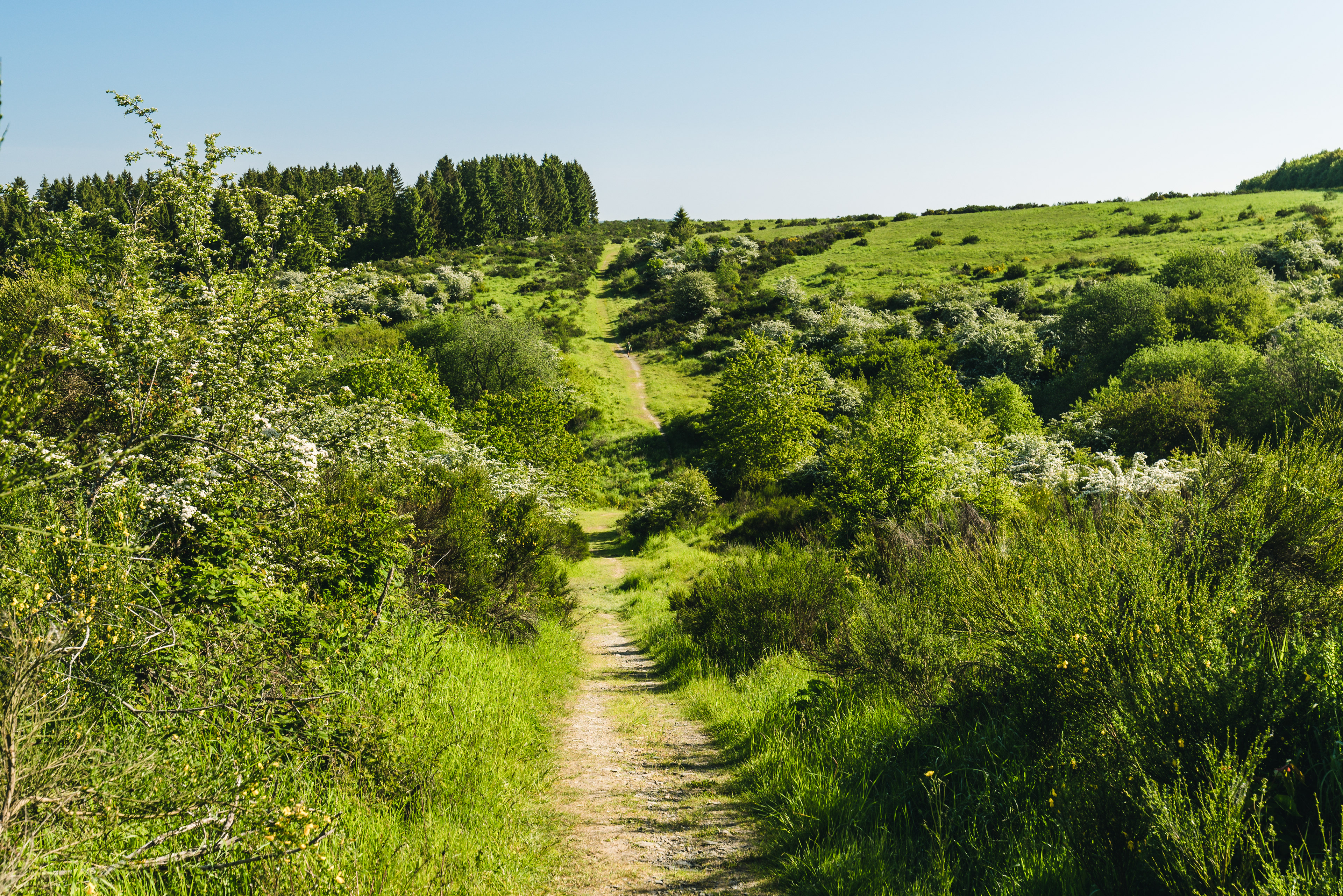 Schleiden Eifel